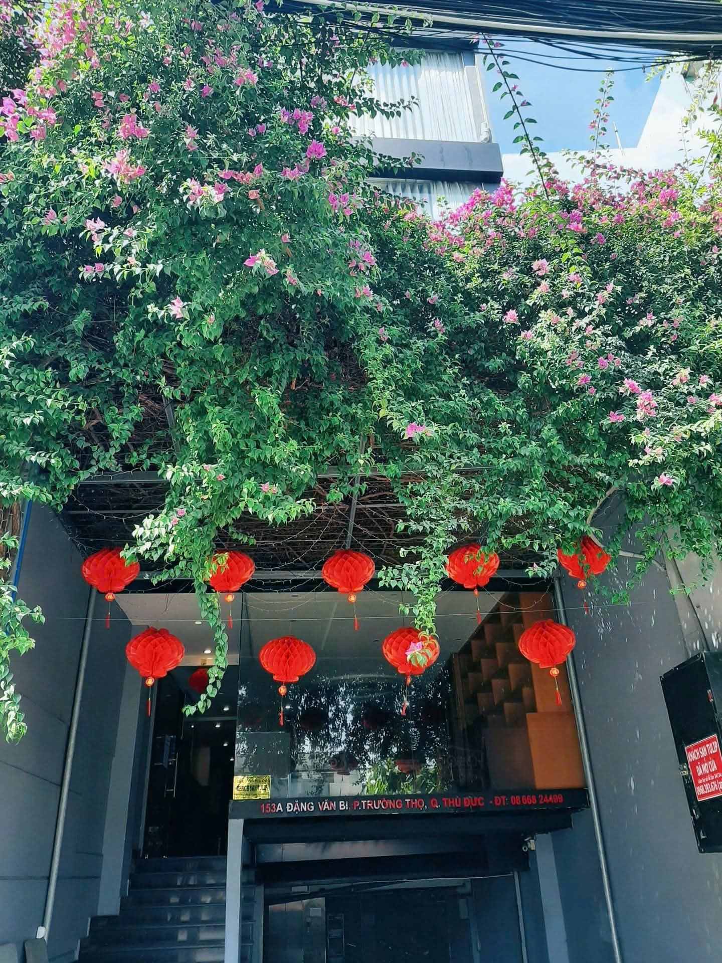 Cần bán Homestay - Khách Sạn Phường Trường Thọ, Thủ Đức, Diện tích 122m², Giá 46 Tỷ