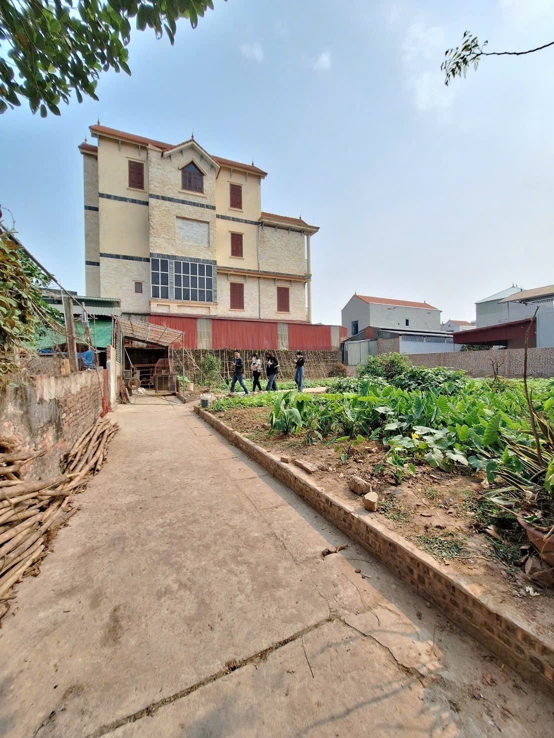 50,9m đất tại Trung Châu _ Liên Minh _ Hà Nội. 2