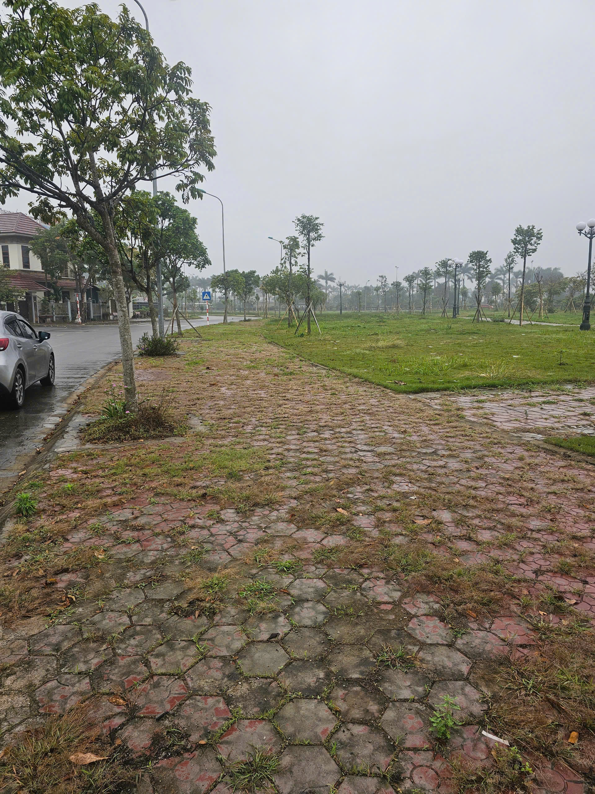 Cần bán Đất Phường Nhị Châu, Hải Dương, Diện tích 233m², Giá 240 Triệu/m²