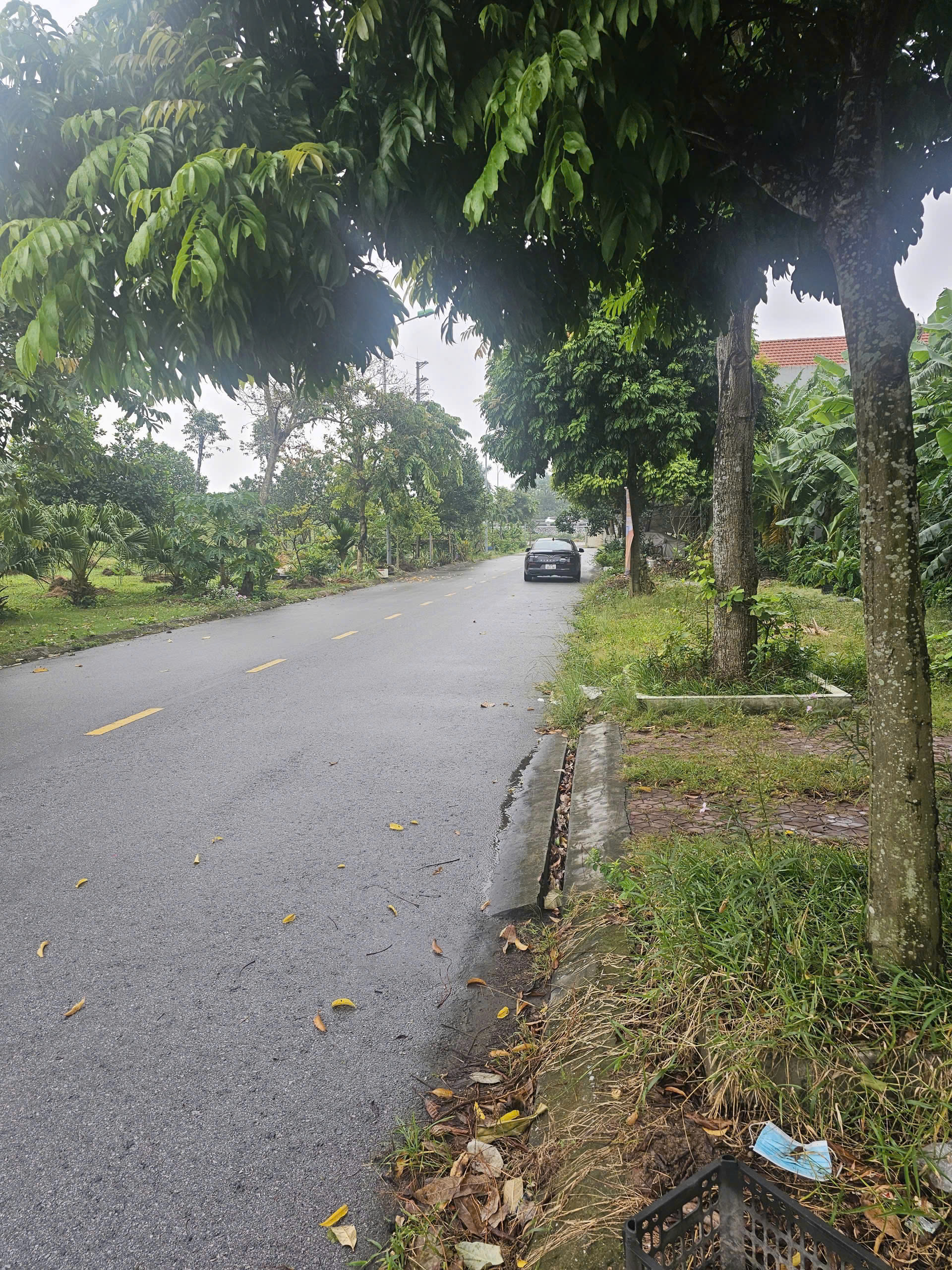 Cần bán Đất Phường Nhị Châu, Hải Dương, Diện tích 65m², Giá 250 Triệu/m²