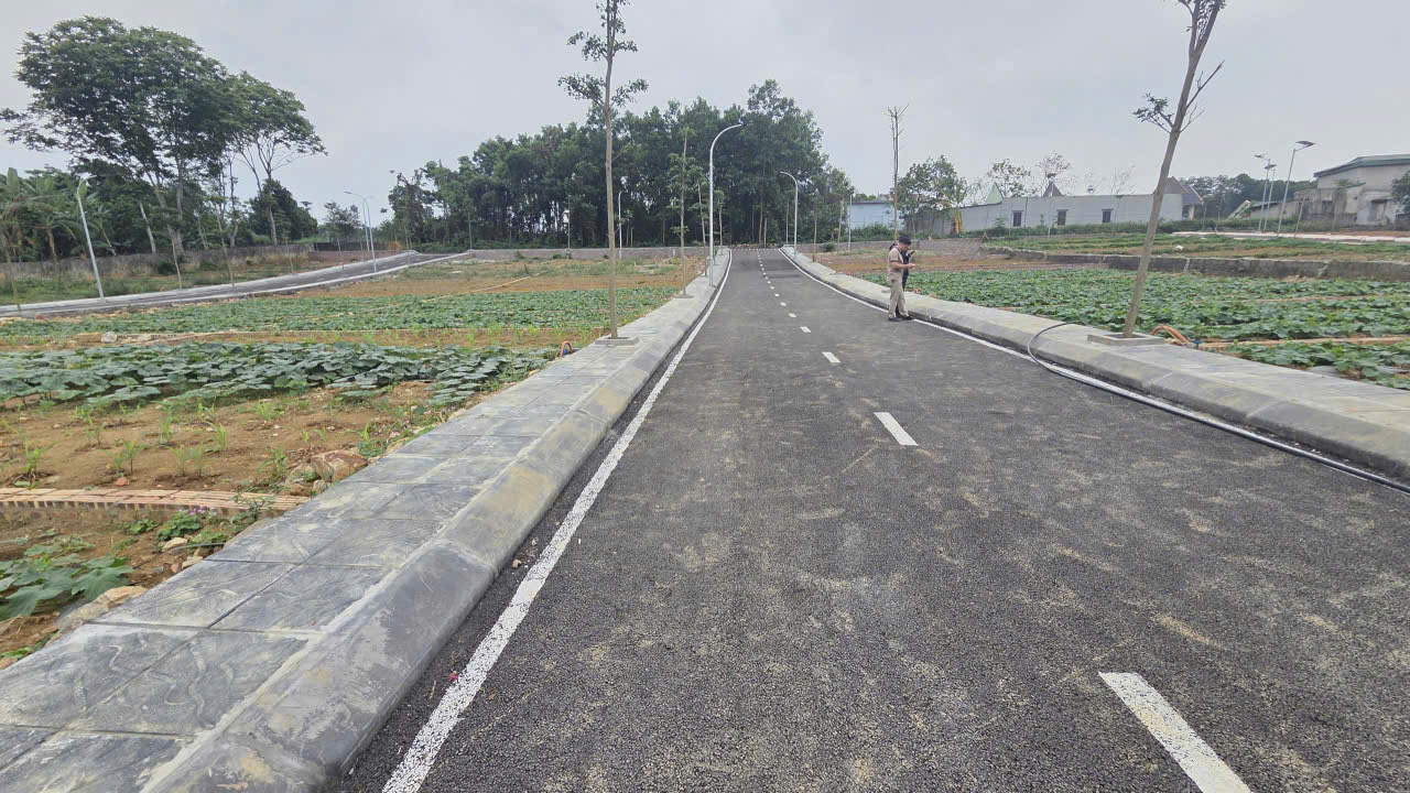 Cần bán Đất đường Hồ Chí Minh, Xã Phú Thành, Diện tích 80m², Giá 600 triệu