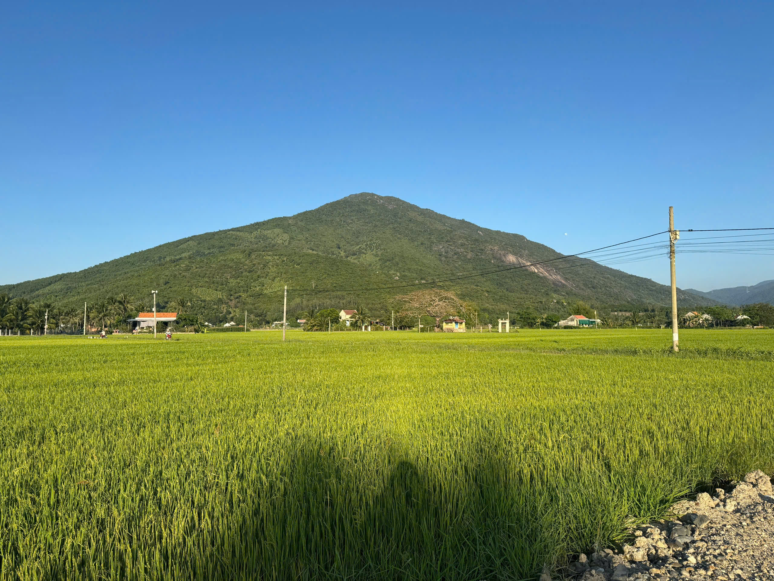 Bán đất full đô thị giá chỉ 2tr3 m2 Phường Hoà Thắng Khánh Hoà 0985451850