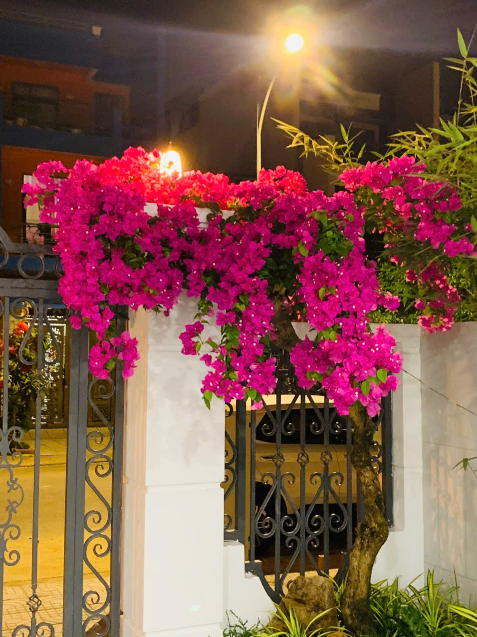 Cần bán Biệt thự Xã Vĩnh Thái, Nha Trang, Diện tích 100m², Giá 9.2 Tỷ 2