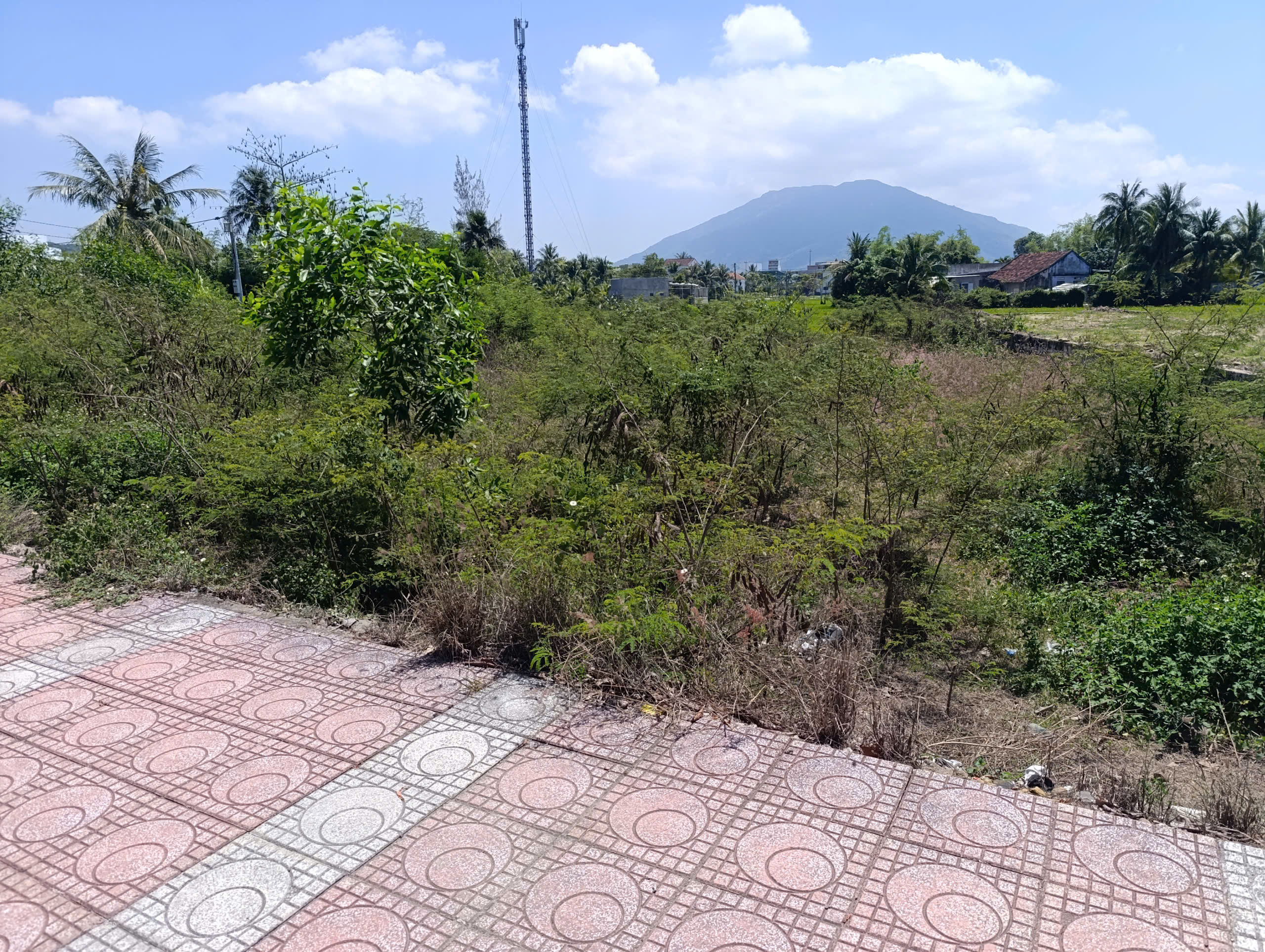 Cần bán Đất đường 2/4, Phường Ninh Hiệp, Diện tích 163m², Giá 7.4 Tỷ 4