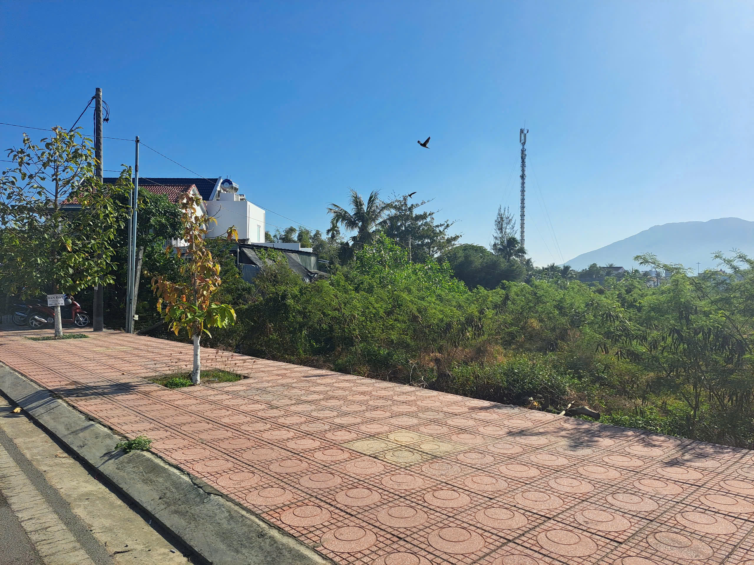 Bán lô góc 126m2 Mặt tiền 2/4 trung tâm thị xã Ninh Hòa Khánh Hoà 0985451850