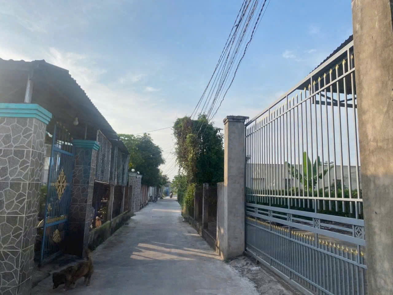 Bán đất hẻm đường beton xe hơi Thạnh Đức, Bến Lức tdt 1200m2 ( 200m2 thổ cư) giá 2,5 tỷ 4