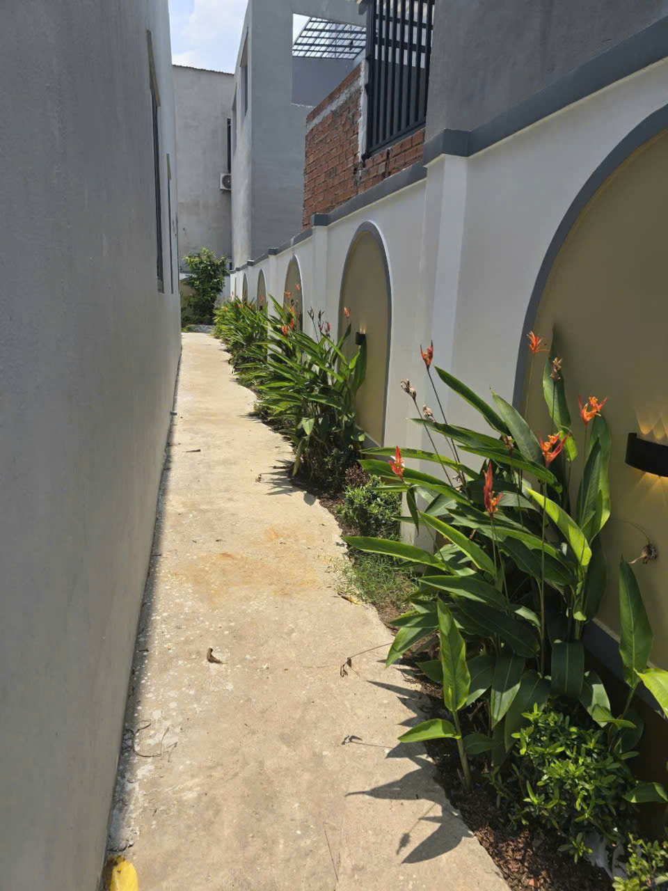 Bán villa sân vườn hồ bơi Long Thượng, Cần Giuộc dt550m2 , 3pn,2wc giá 5,6 tỷ 11