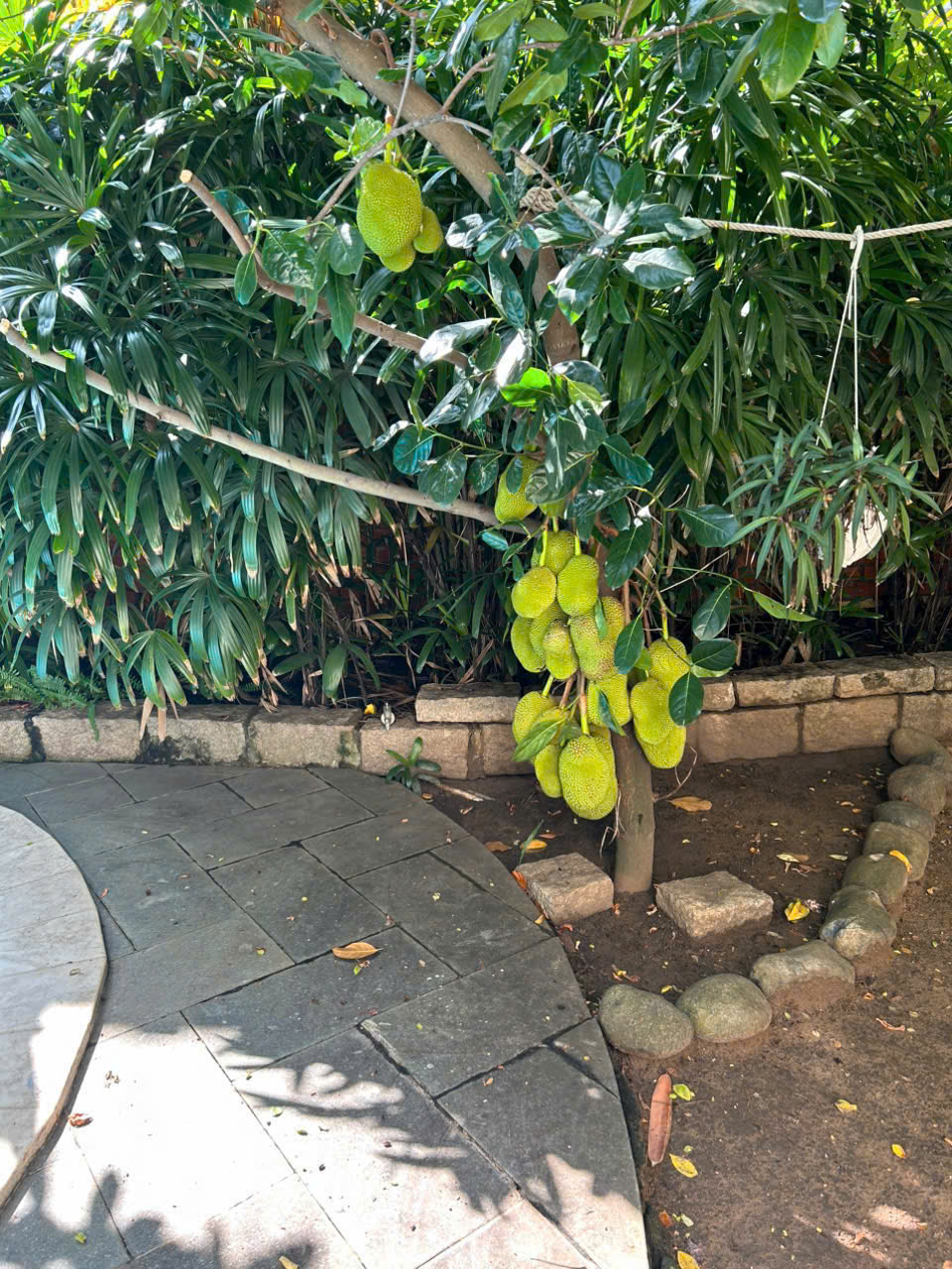 Cần bán Nhà mặt tiền Phường Thảo Điền, Quận 2, Diện tích 651m², Giá 115 Tỷ