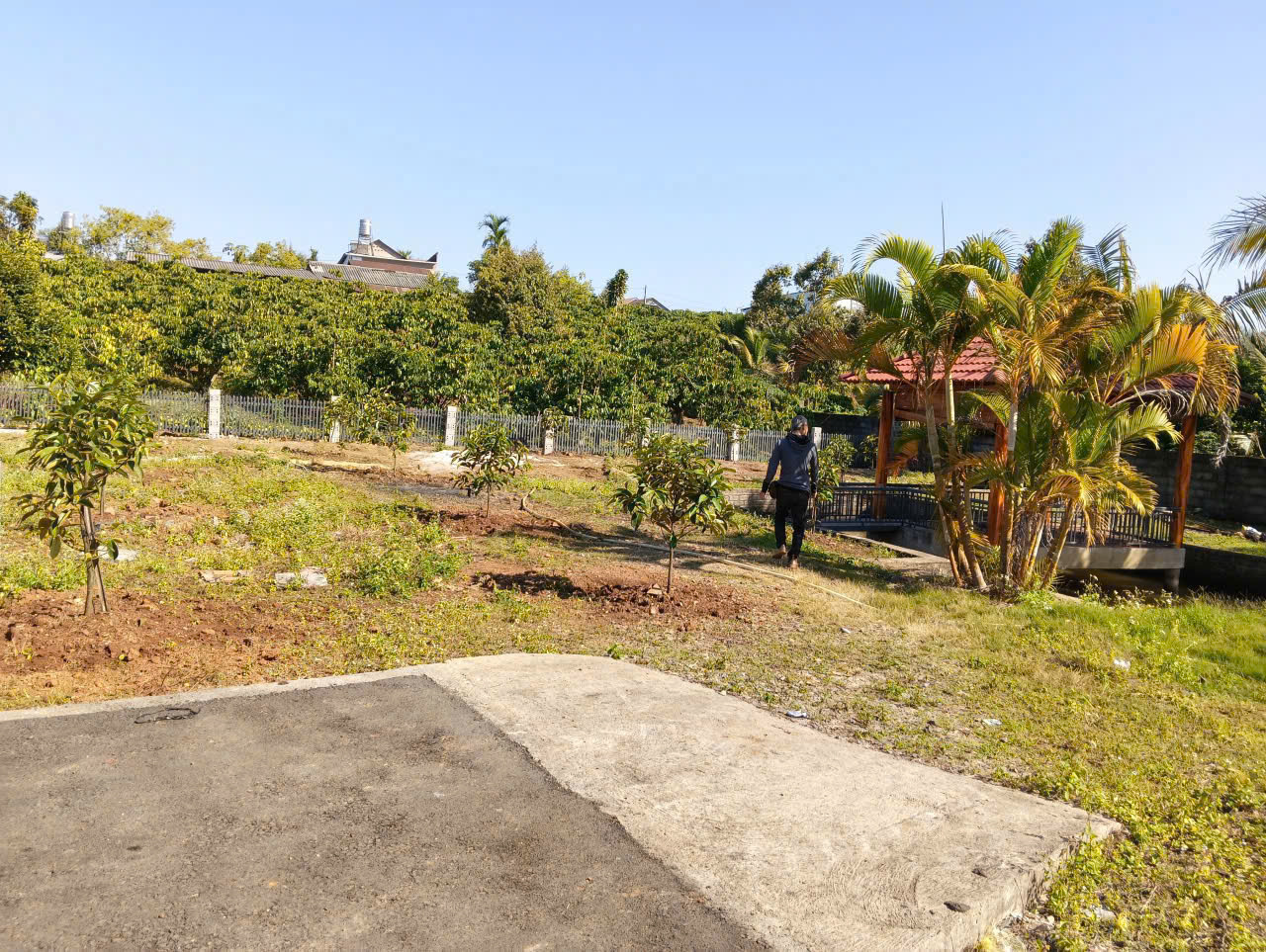 1.200m2 sẵn 400m2 thổ cư - hẻm lê phụng hiểu, lộc châu, bảo lộc 4