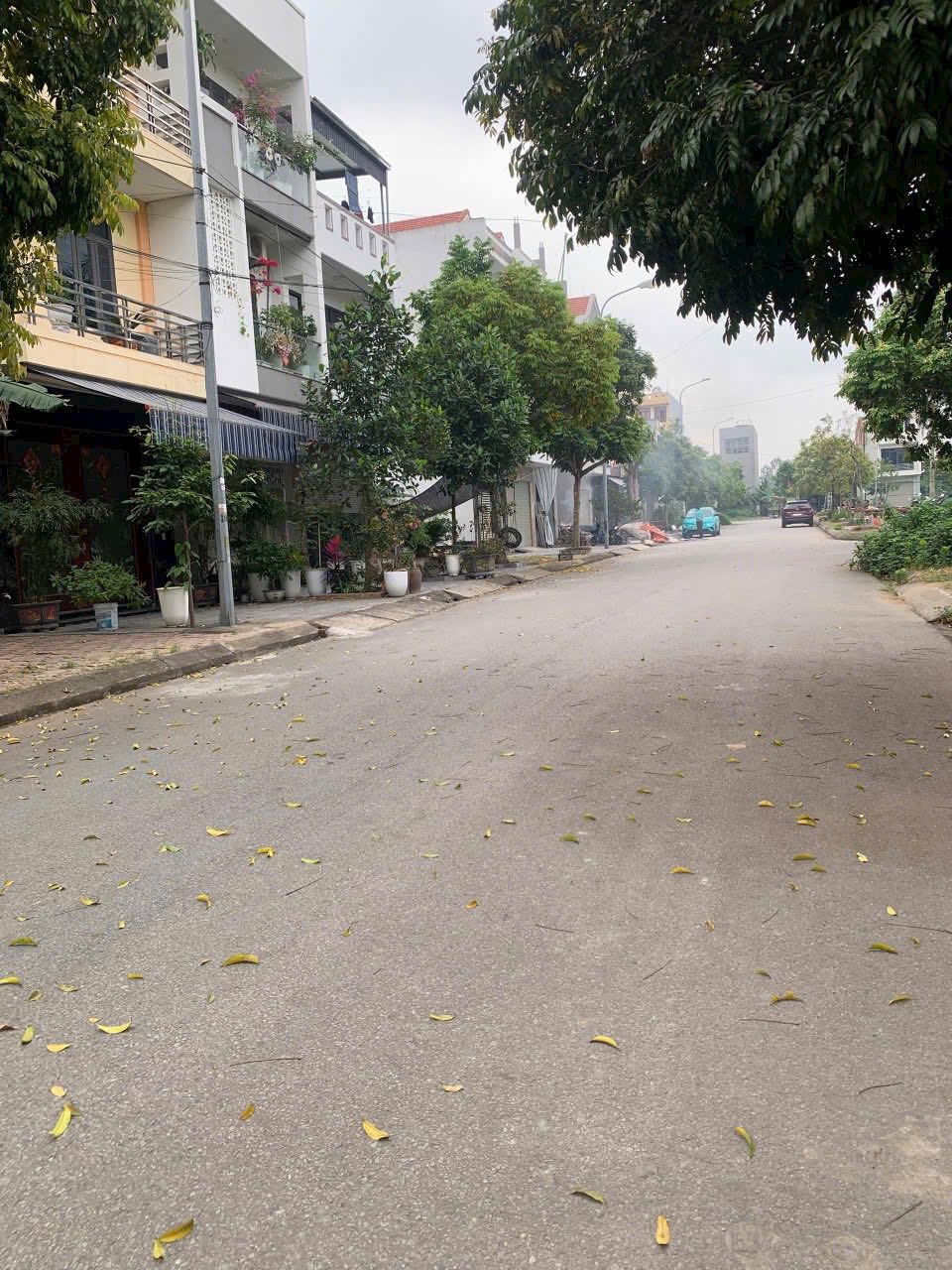 Bán lô đất khu chia lô quân đội Cẩm Khê, Tứ Minh, TP HD, 91.87m2, mt 4.5m, đường 17.5m