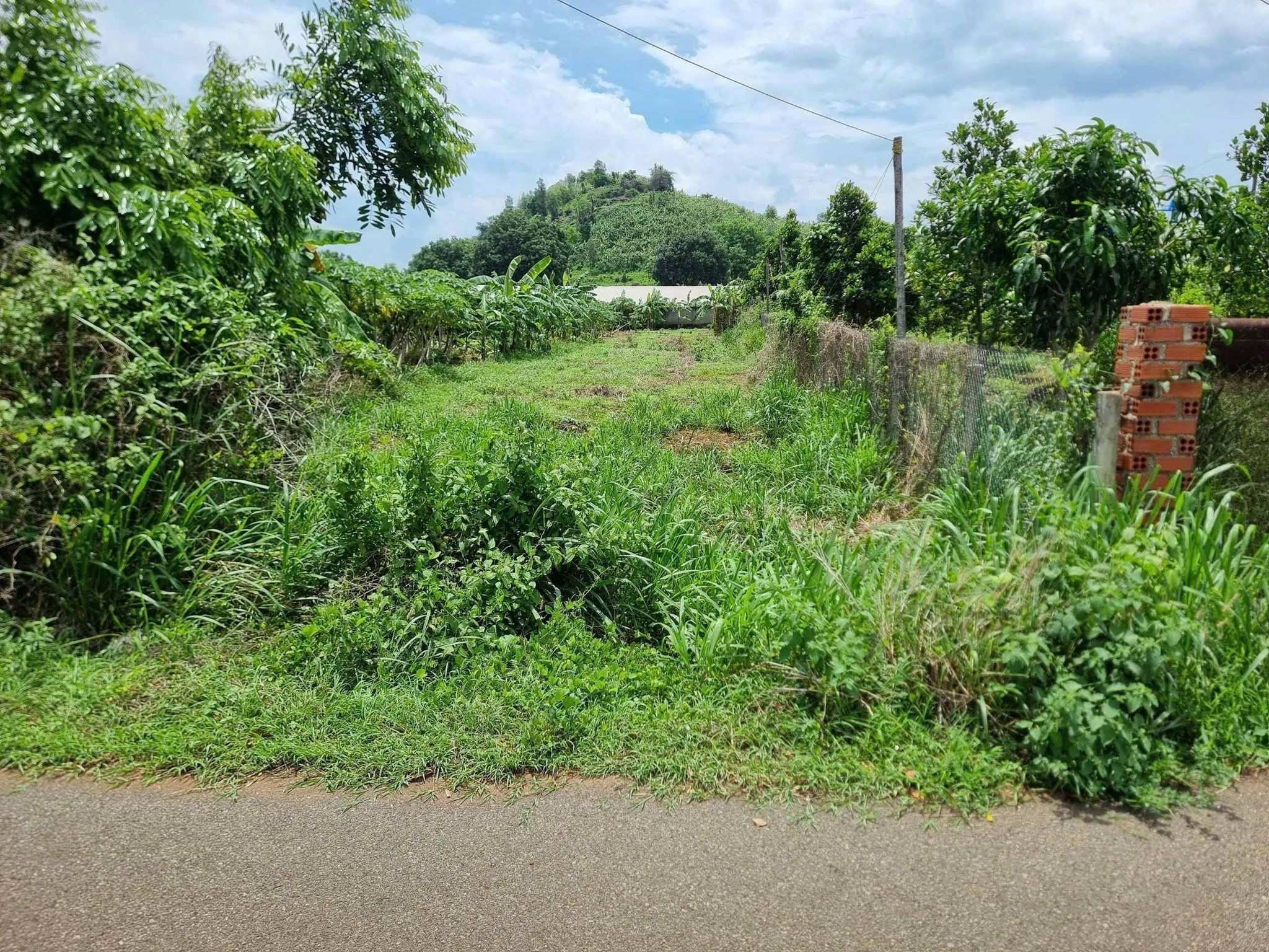 CẦN BÁN 1000m² ĐẤT MẶT TIỀN ĐƯỜNG NHỰA – LONG PHƯỚC, TP. BÀ RỊA (P. TAM LONG, TP. HCM)