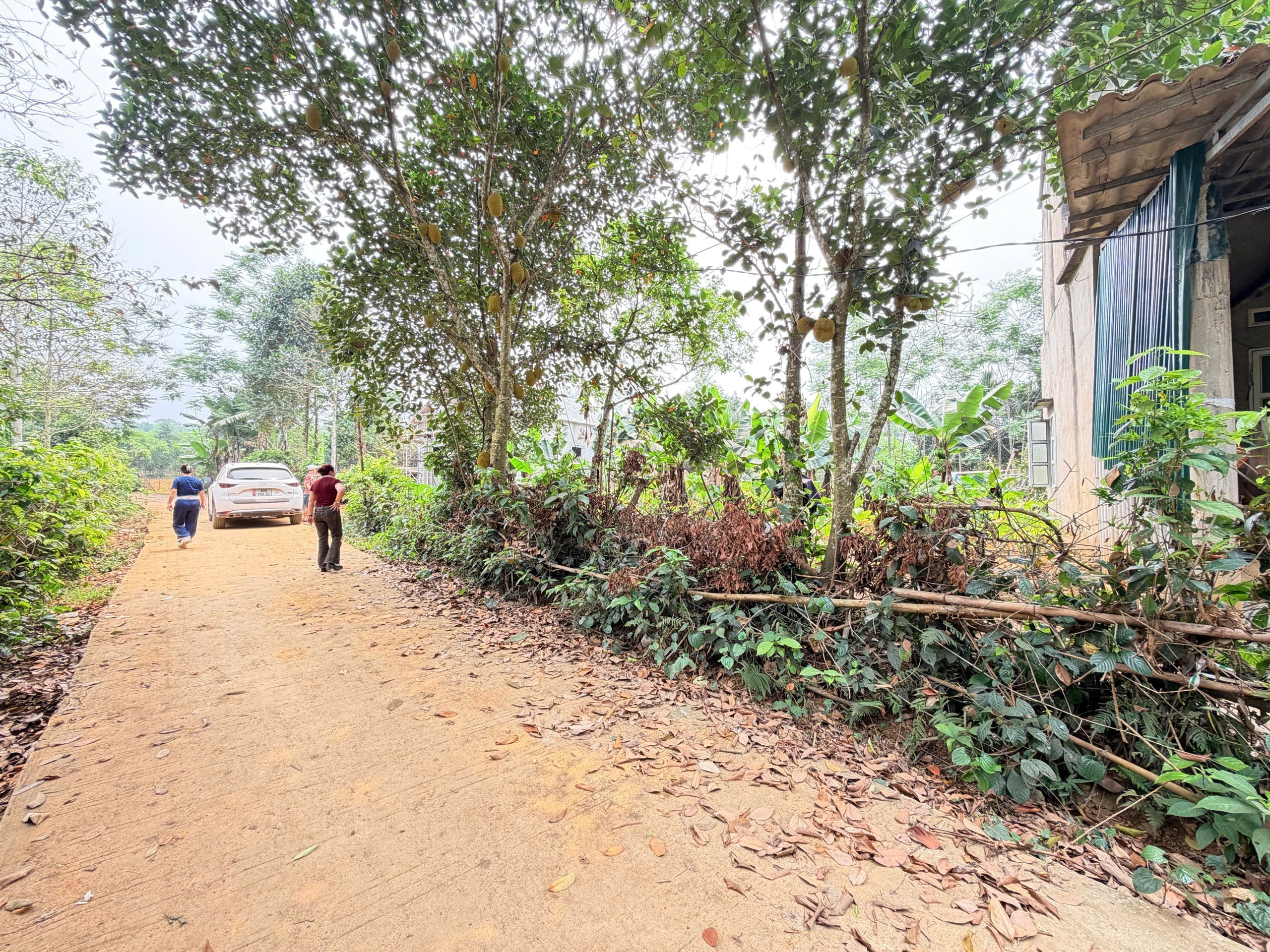 BÁN NHANH LÔ ĐẤT TIỀM NĂNG CAO – GIÁ CHỈ 400 TRIỆUĐịa chỉ: Xóm Trang, xã Vũ Bình, huyện 2