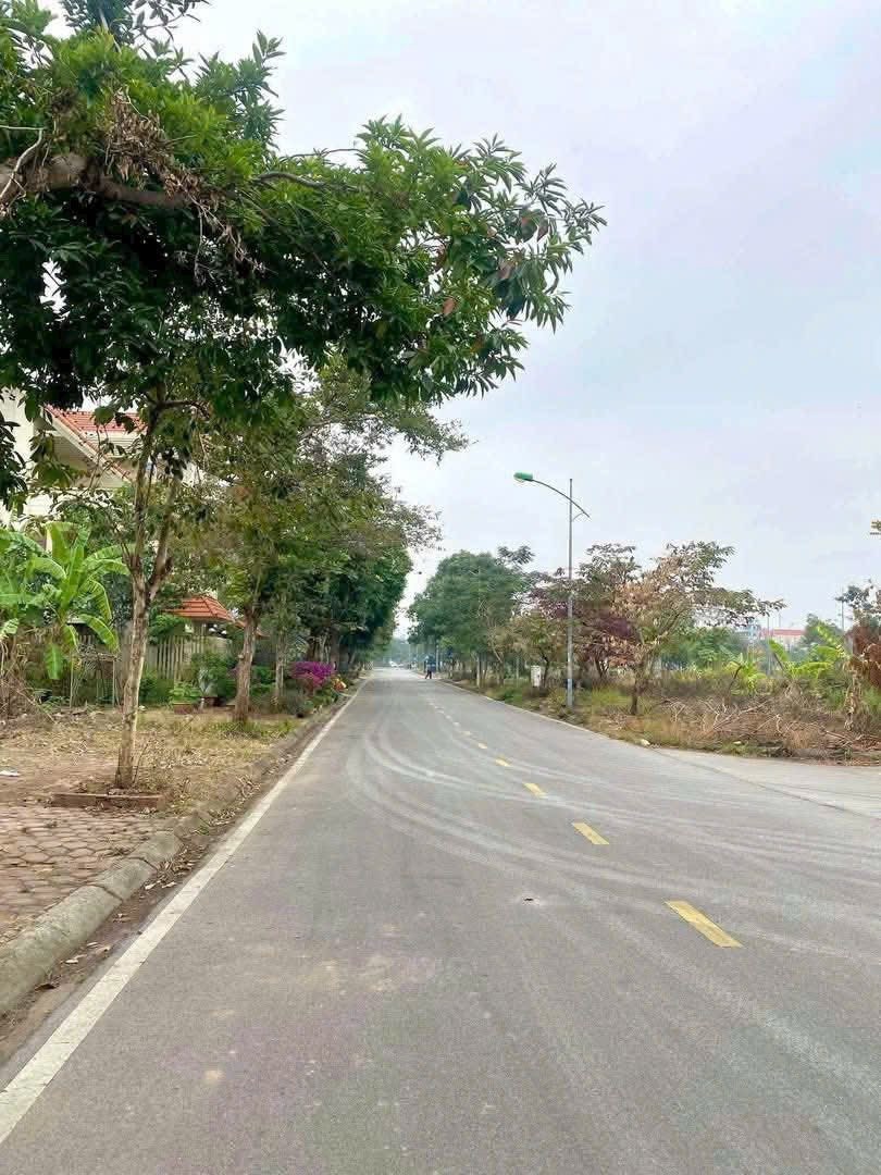 Bán lô đất biệt thự mặt đường Hoàng Văn Cơm, khu Đỉnh Long, TP HD, 183m2, mt 11m, giá tốt 2