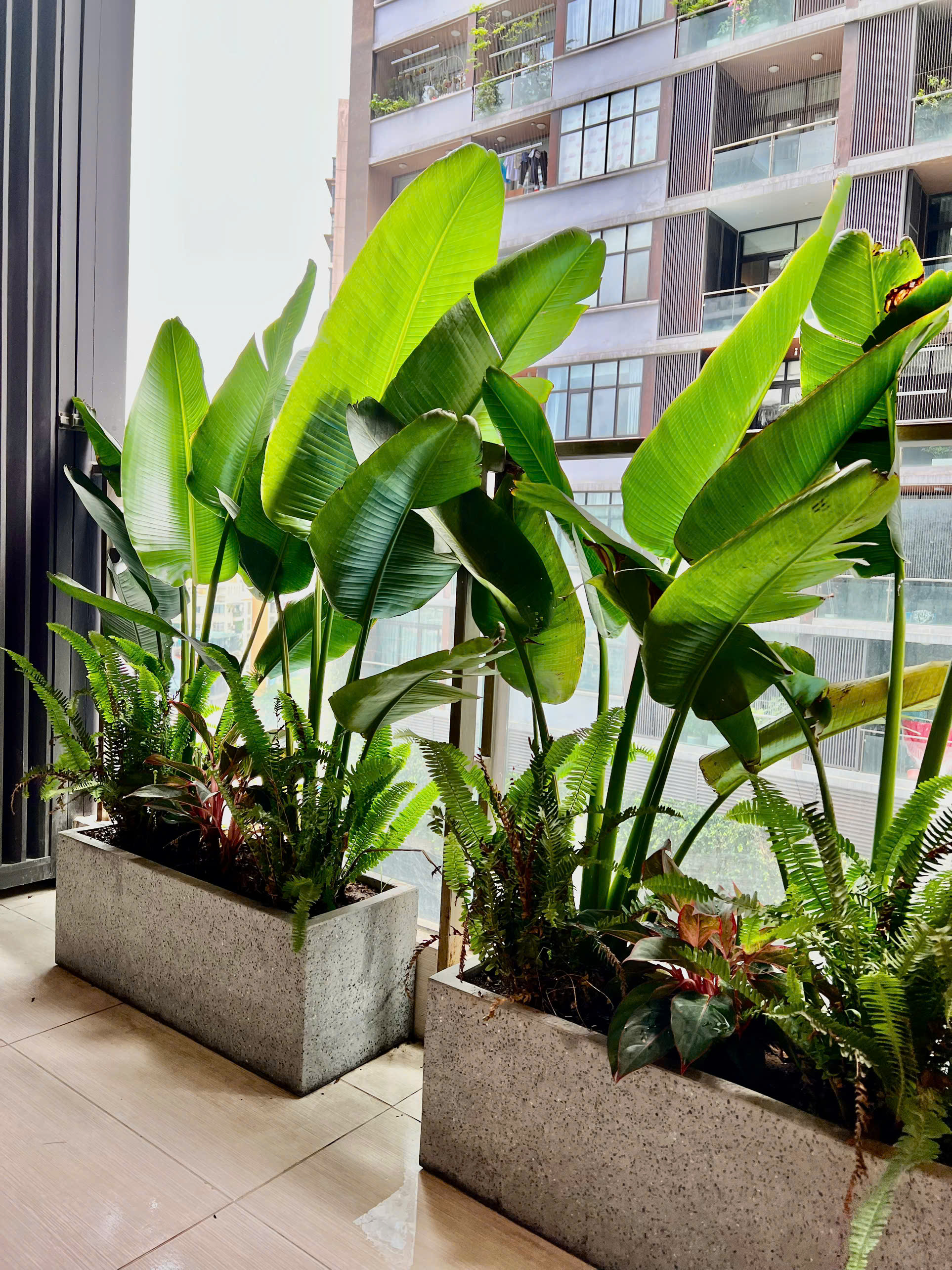 Bán căn hộ 3PN-122m2 tại Thanh Xuân Complex (24T3 Hapulico), giá tốt 5