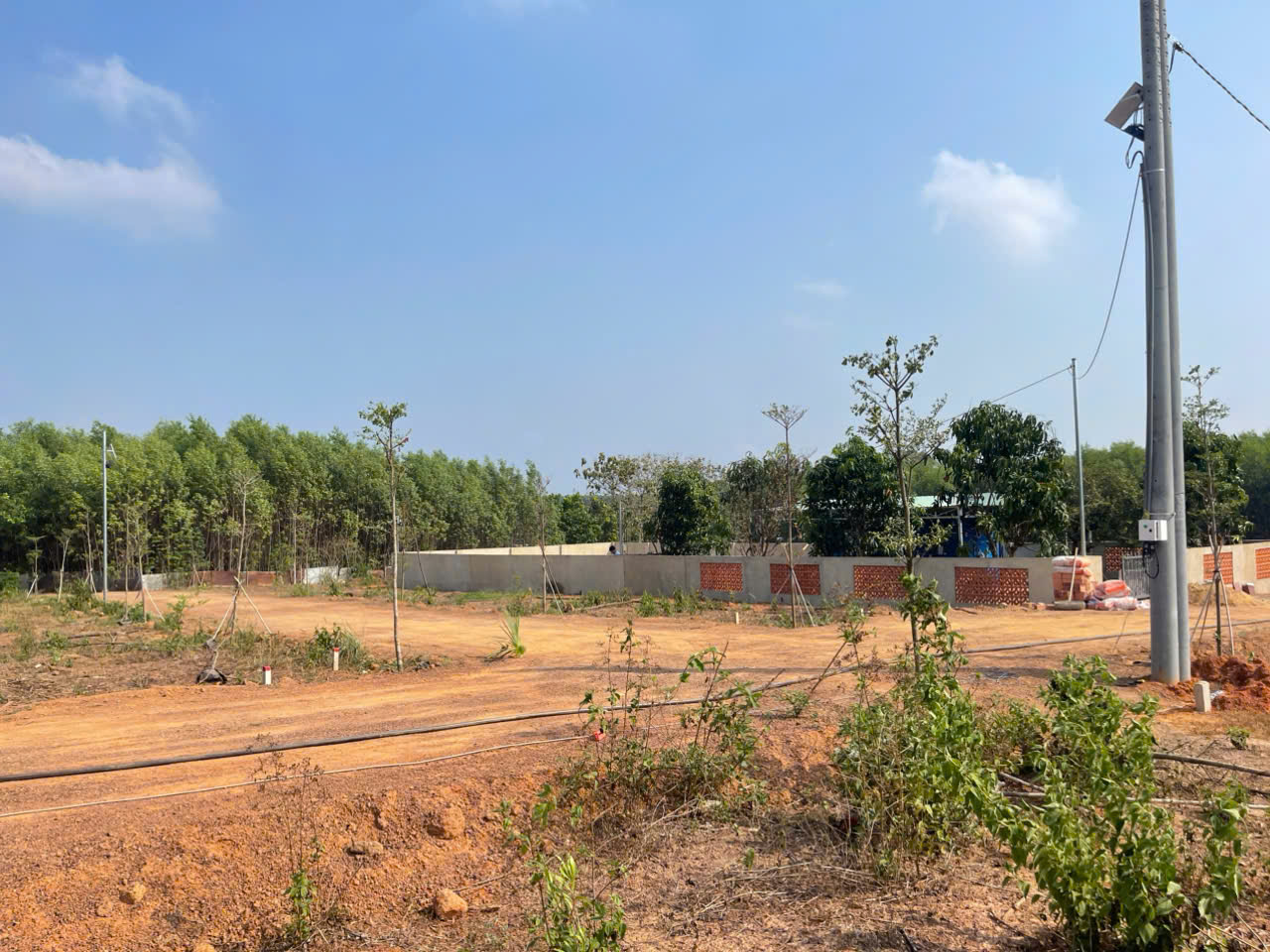 Cần bán Trang trại, rẫy, vườn đường Đoàn Thị Điểm, Thị trấn Vĩnh An, Diện tích 500m², Giá 480 Triệu 5