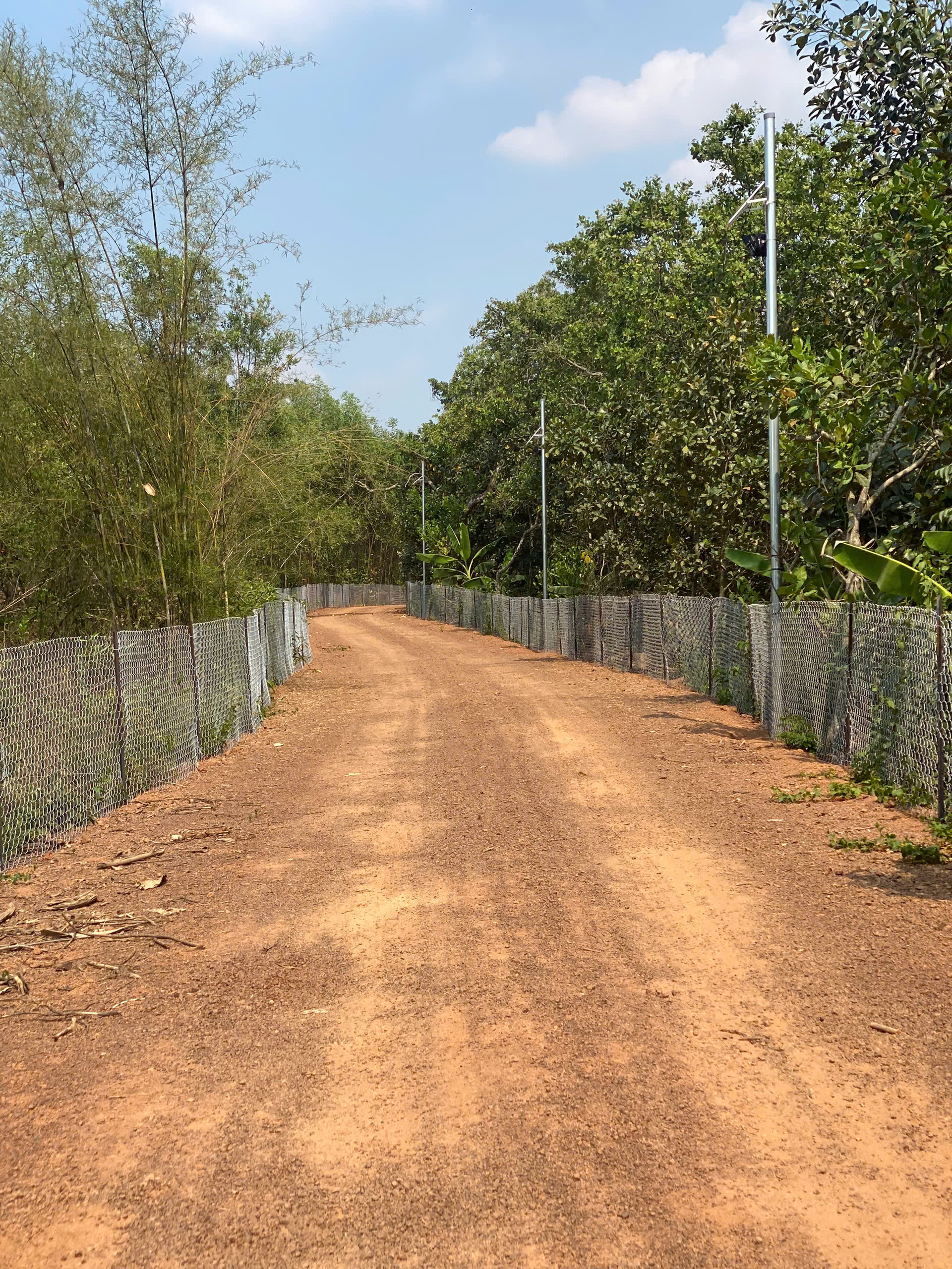 Cần bán Trang trại, rẫy, vườn đường Đoàn Thị Điểm, Thị trấn Vĩnh An, Diện tích 500m², Giá 480 Triệu 9