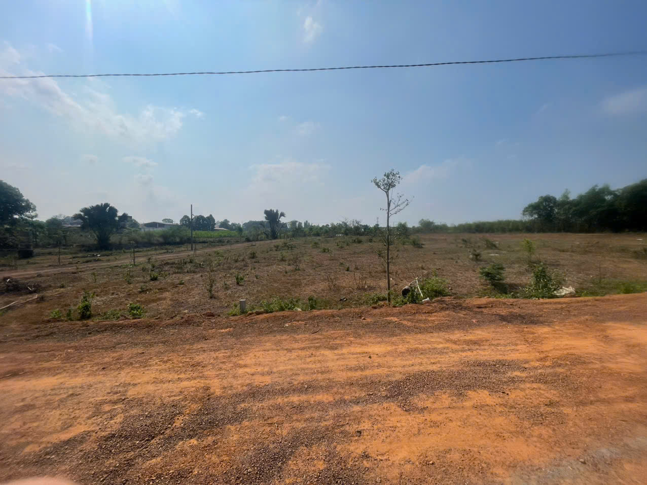 Cần bán Trang trại, rẫy, vườn đường Đoàn Thị Điểm, Thị trấn Vĩnh An, Diện tích 500m², Giá 480 Triệu 6