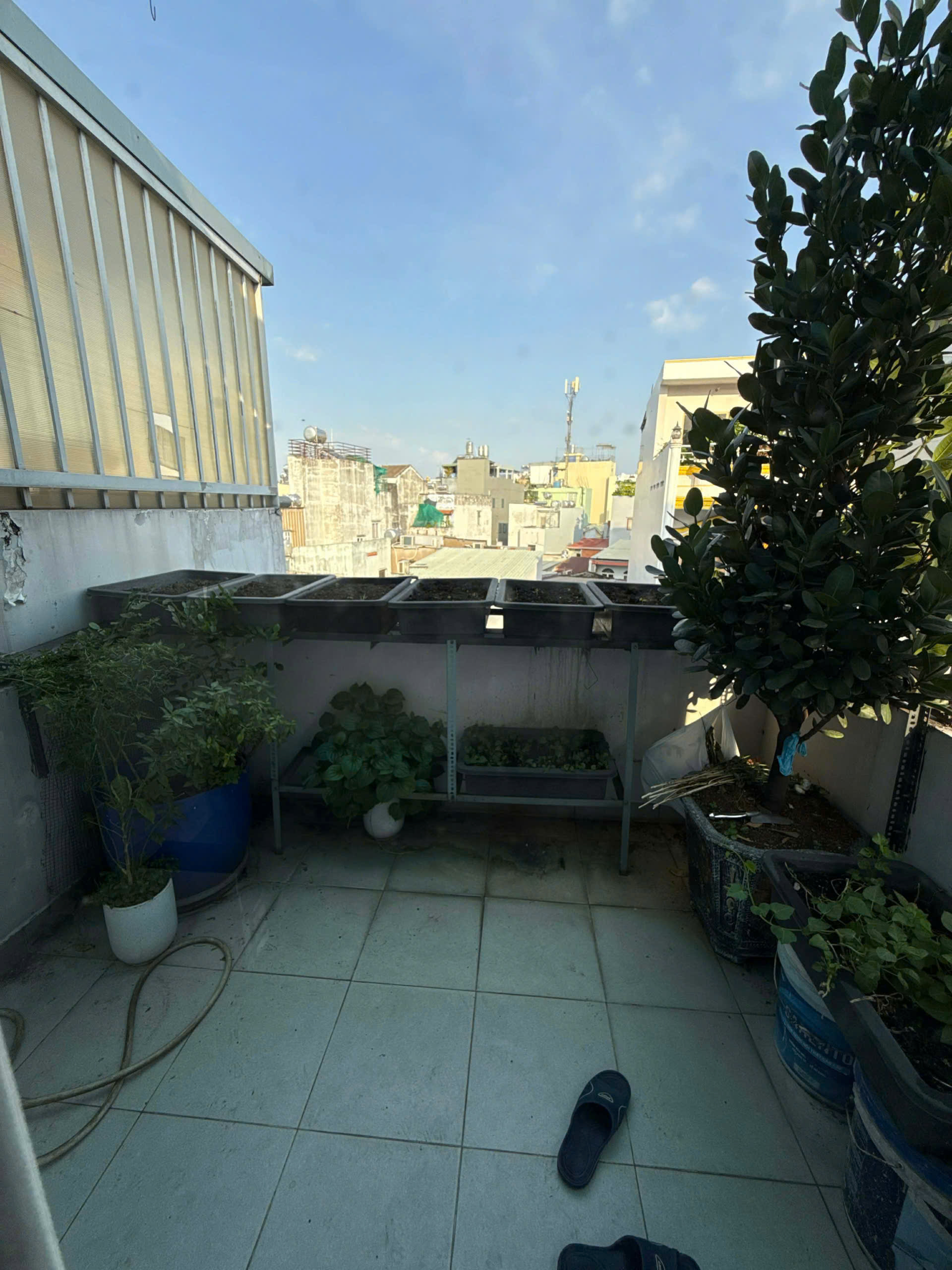 TRẦN VĂN QUANG TÂN BÌNH 32M2 4 TẦNG ĐÚC 3PN 3WC SÂN THƯỢNG SHR CHỈ 5.65 TỶ 13