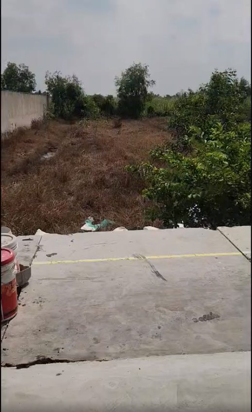 Bán kho mt ĐT 816 , xã Thạnh Lợi , Bến Lức dt 1300m2 ( dtxd 450m2 ) giá 7 tỷ 15