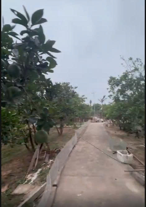 Bán nhà vườn đẹp xã Lam Điền (cũ nay thuộc xã Quảng Bị), 1400m2, mặt tiền 40m, đường bê tông ô tô, 16