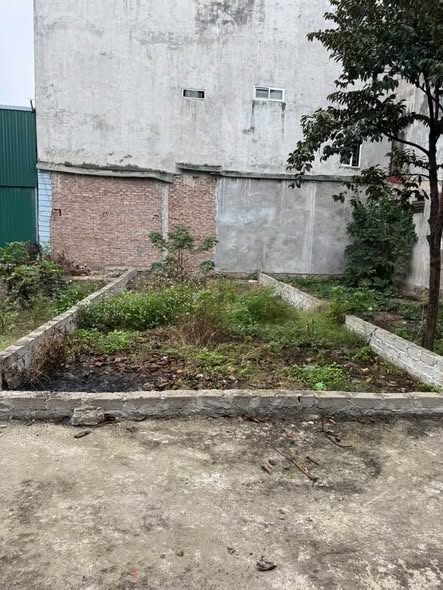 CƠ HỘI ĐẦU TƯ HIẾM 51.4M Ô TÔ VÀO TẬN NHÀ TẠI SƠN TÂY - HÀ NỘI 2