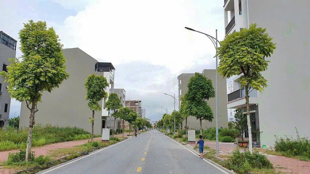 Bán 2 lô đất liên nhau mặt phố Phạm Minh Nghĩa, KDC Trần Hưng Đạo, TP HD, 157.5m2, giá tốt 3