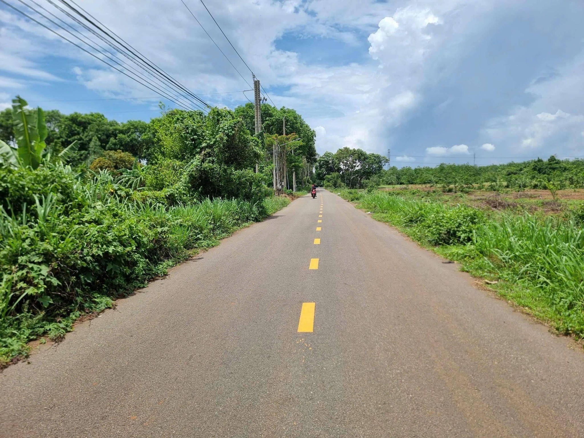 CẦN BÁN 1000m² ĐẤT MẶT TIỀN ĐƯỜNG NHỰA – LONG PHƯỚC, TP. BÀ RỊA (P. TAM LONG, TP. HCM) 2