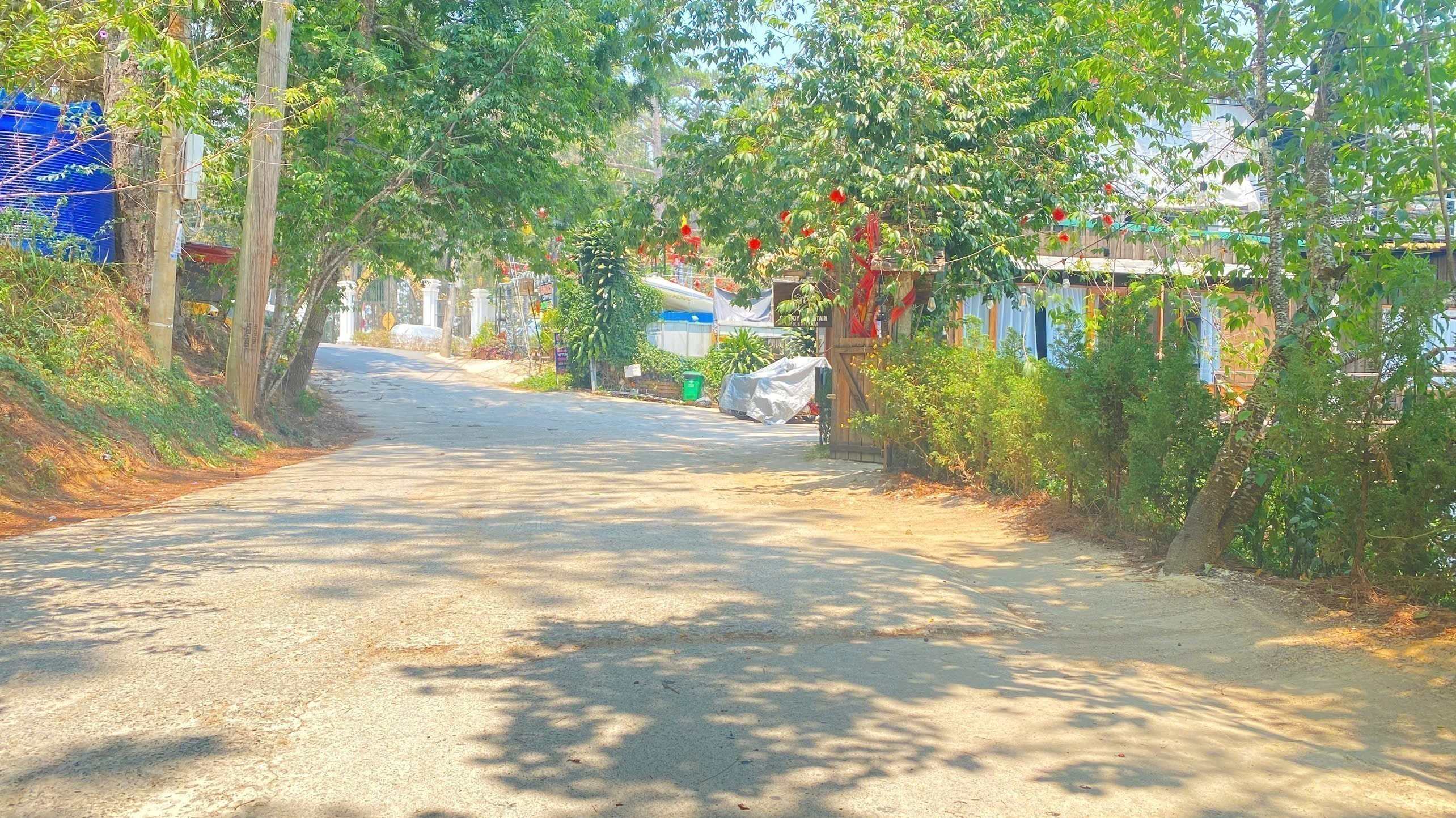 Đất đường nhánh 1.832m2  hẻm lớn trần quang diệu, phường 10, đà lạt 2