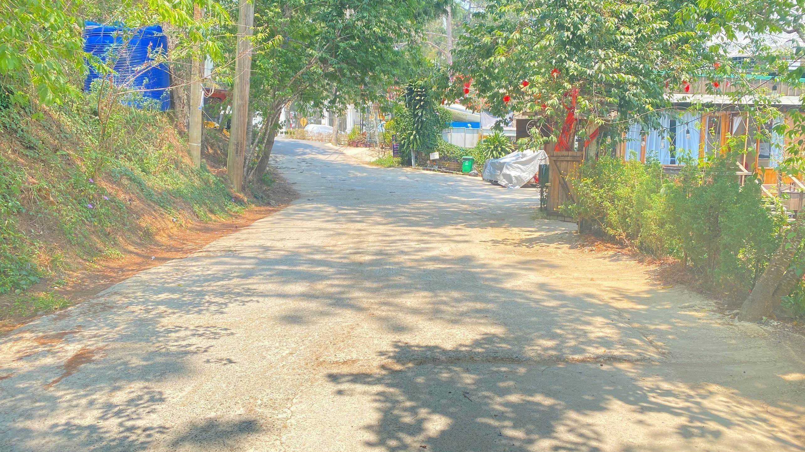 Đất đường nhánh 1.832m2  hẻm lớn trần quang diệu, phường 10, đà lạt 5