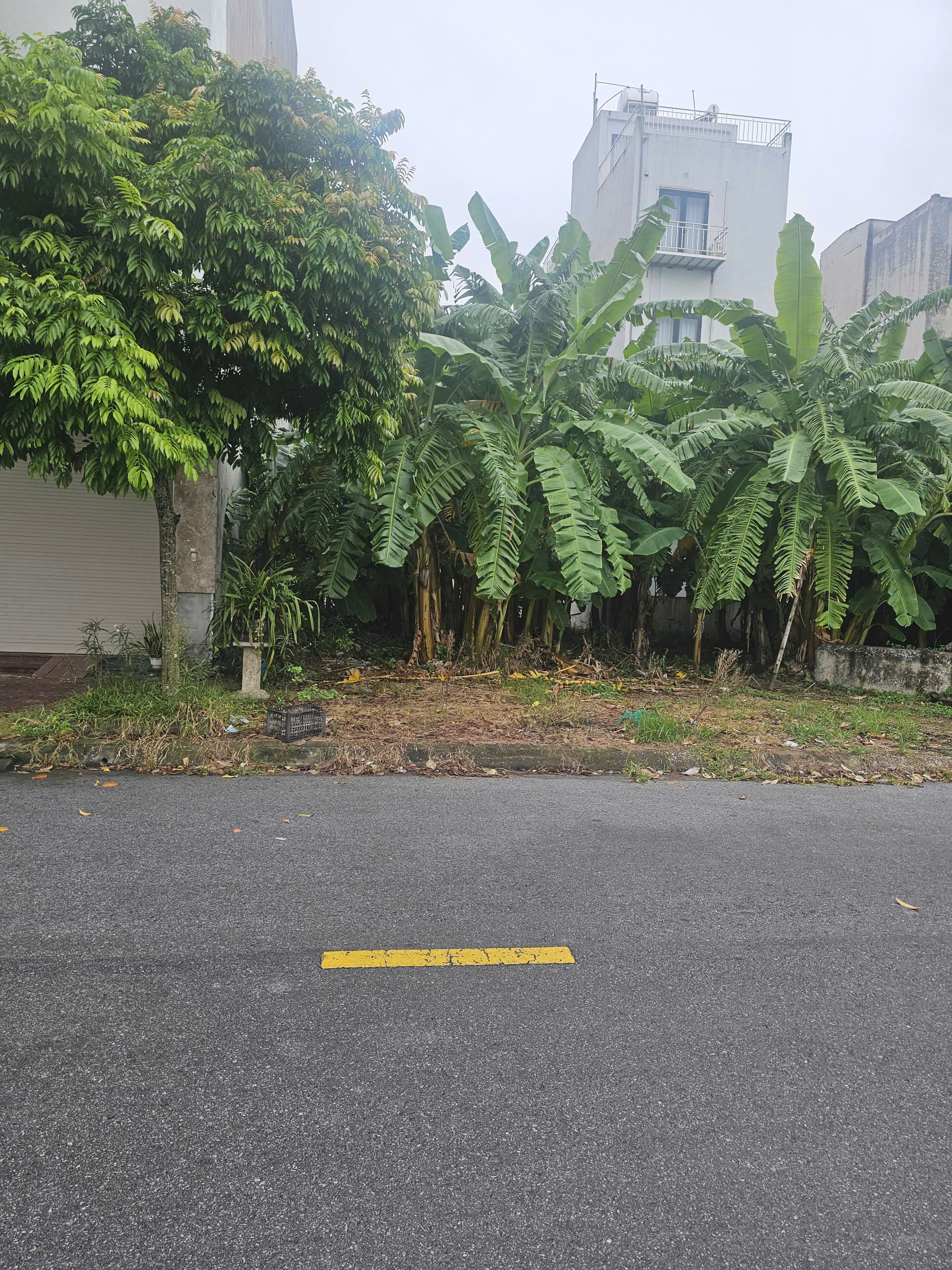 Cần bán Đất Phường Nhị Châu, Hải Dương, Diện tích 256m², Giá 230 Triệu/m² 3