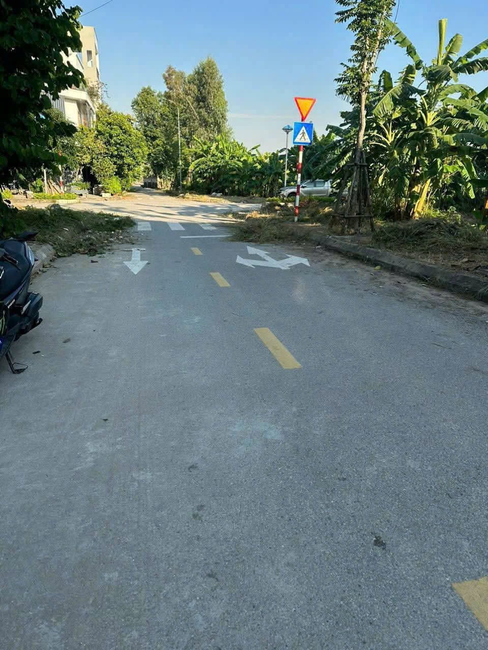 Cần bán Đất Phường Nhị Châu, Hải Dương, Diện tích 317.5m², Giá 225 Triệu/m²