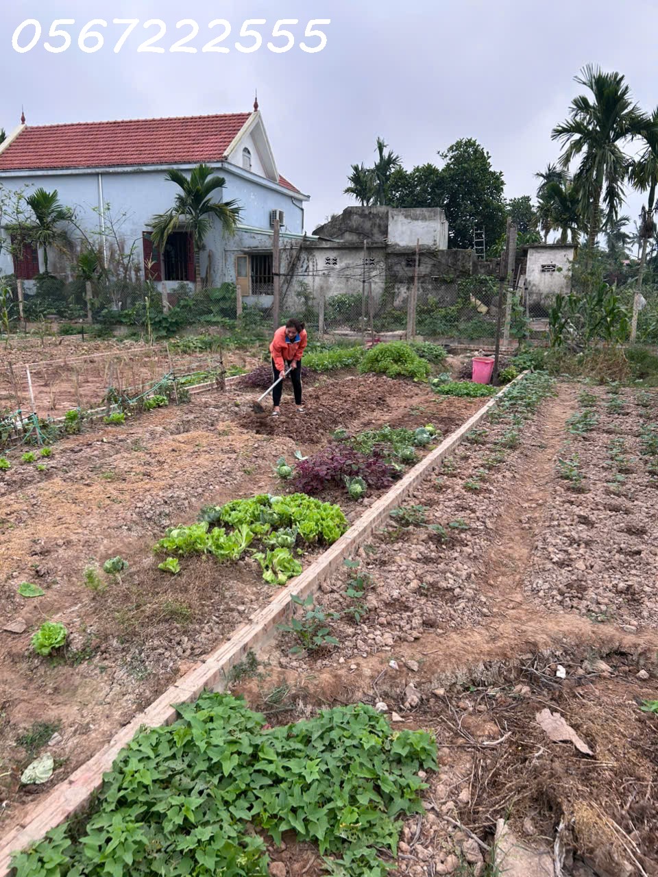 Bán đất nhà vườn mặt đường trục thôn Kính Trực, Tân Phong chỉ 1,9xx tỷ - ZALO 0567 222 555 4