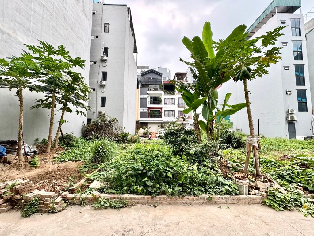 Bán đất TDC Ngọc Thuỵ 50m x 5m oto tránh thông kinh doanh 3