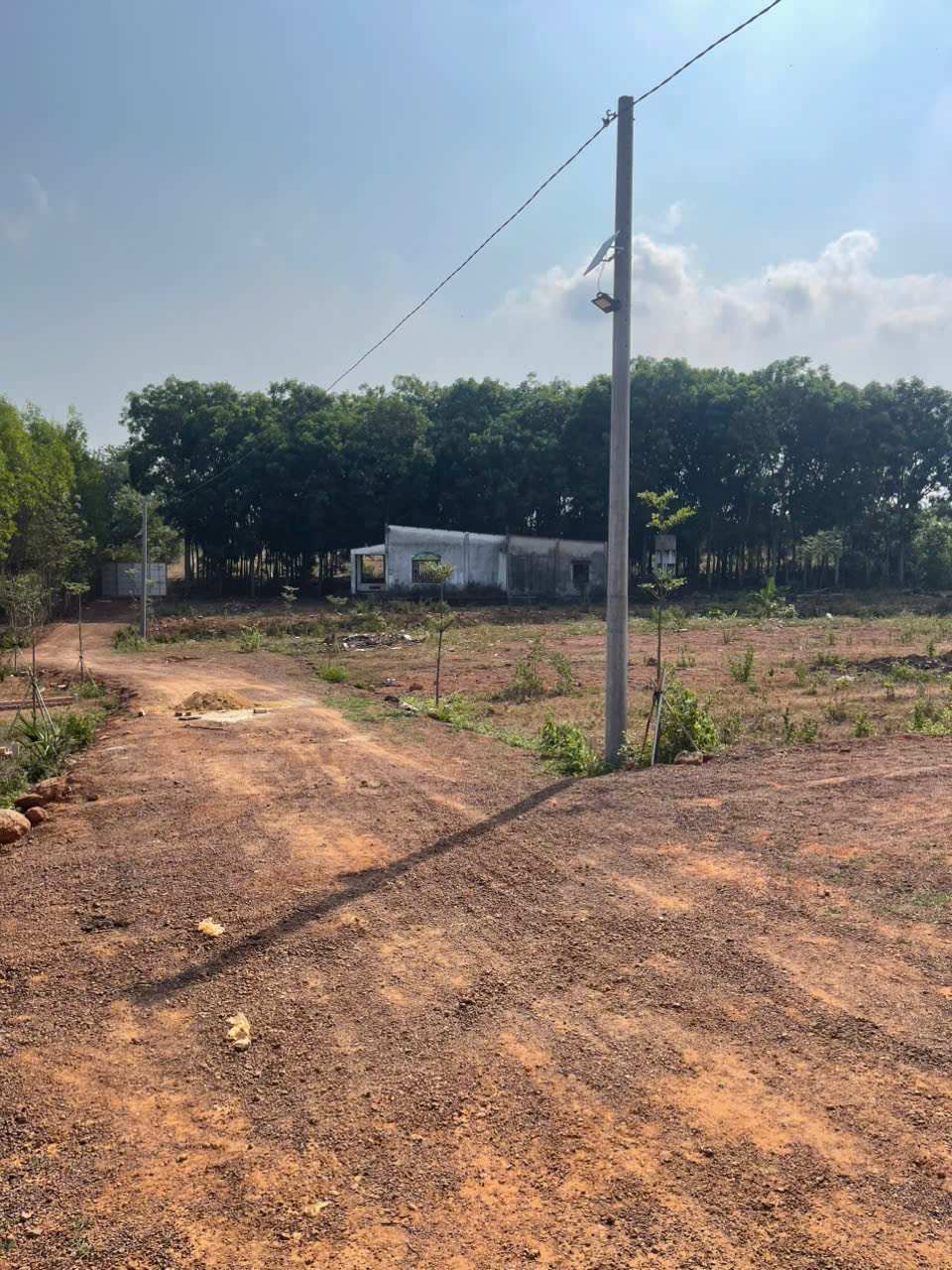 Cần bán Trang trại, rẫy, vườn đường Đoàn Thị Điểm, Thị trấn Vĩnh An, Diện tích 500m², Giá 480 Triệu