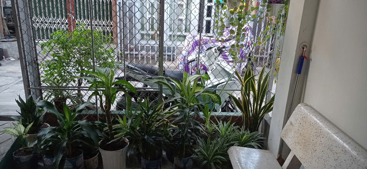 Cần bán Nhà ở, nhà cấp 4, nhà hẻm đường Trần Hưng Đạo, Giá Thương lượng 3