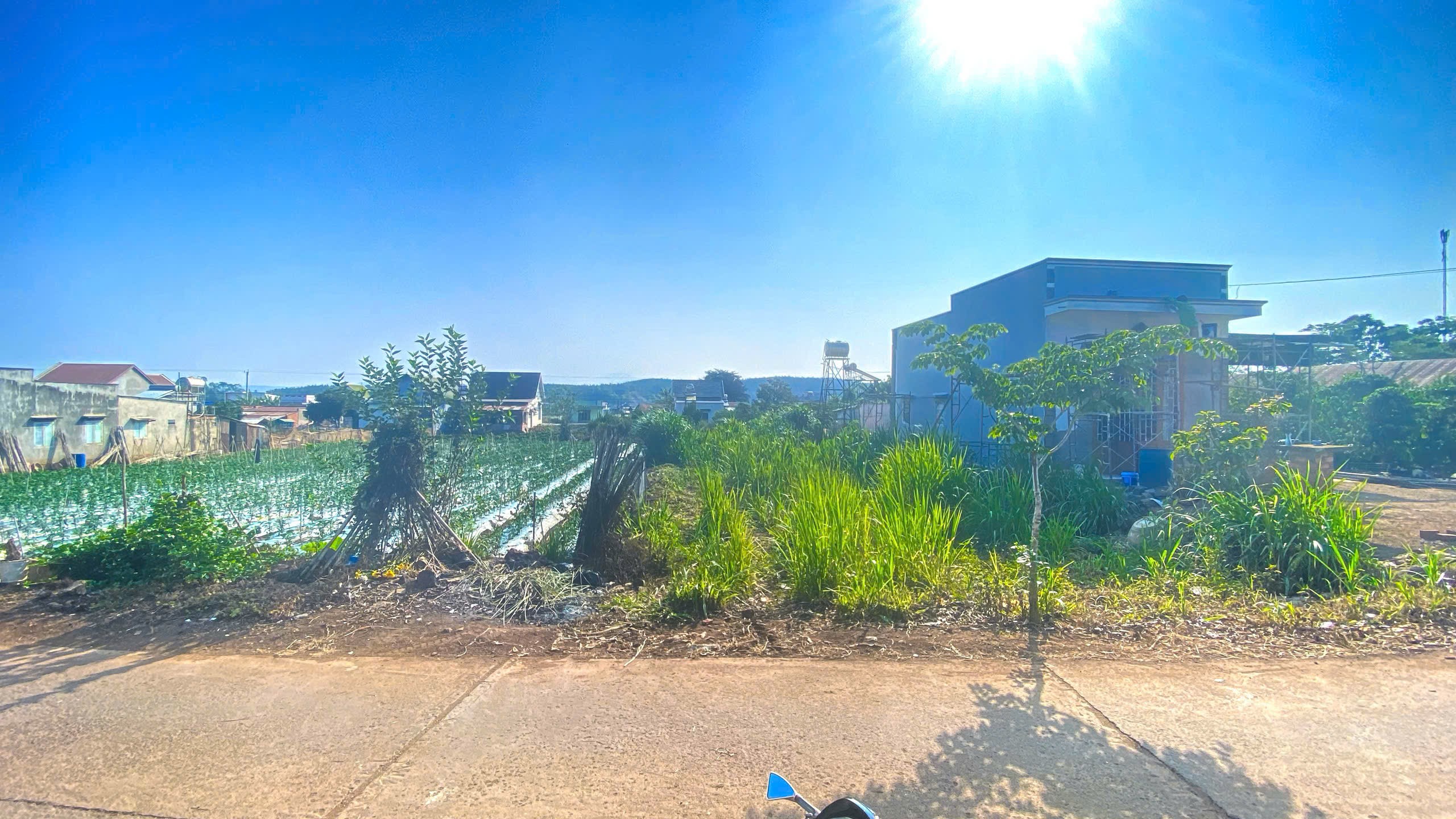 500m2 mặt hẻm tân phú, tân hội, đức trọng cũ, lâm đồng 4