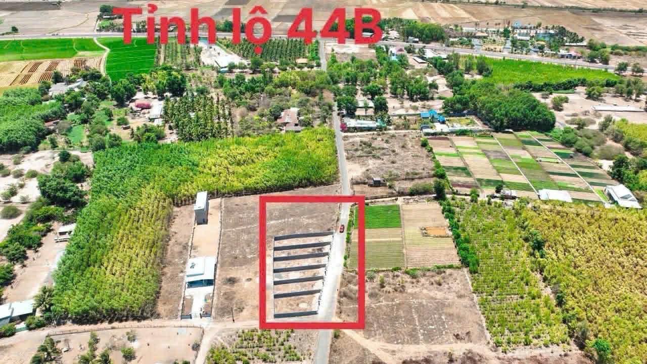 Cần bán Đất đường Tỉnh lộ 44B, Thị trấn Phước Hải, Diện tích 199m², Giá 970 Triệu 3