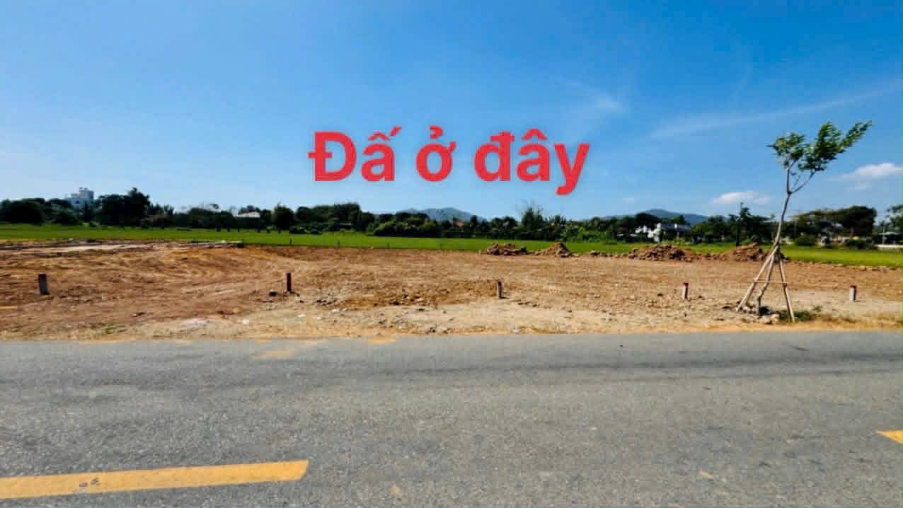 Cần bán Đất đường Tỉnh lộ 44B, Thị trấn Phước Hải, Diện tích 128m², Giá 1.2 Tỷ 3