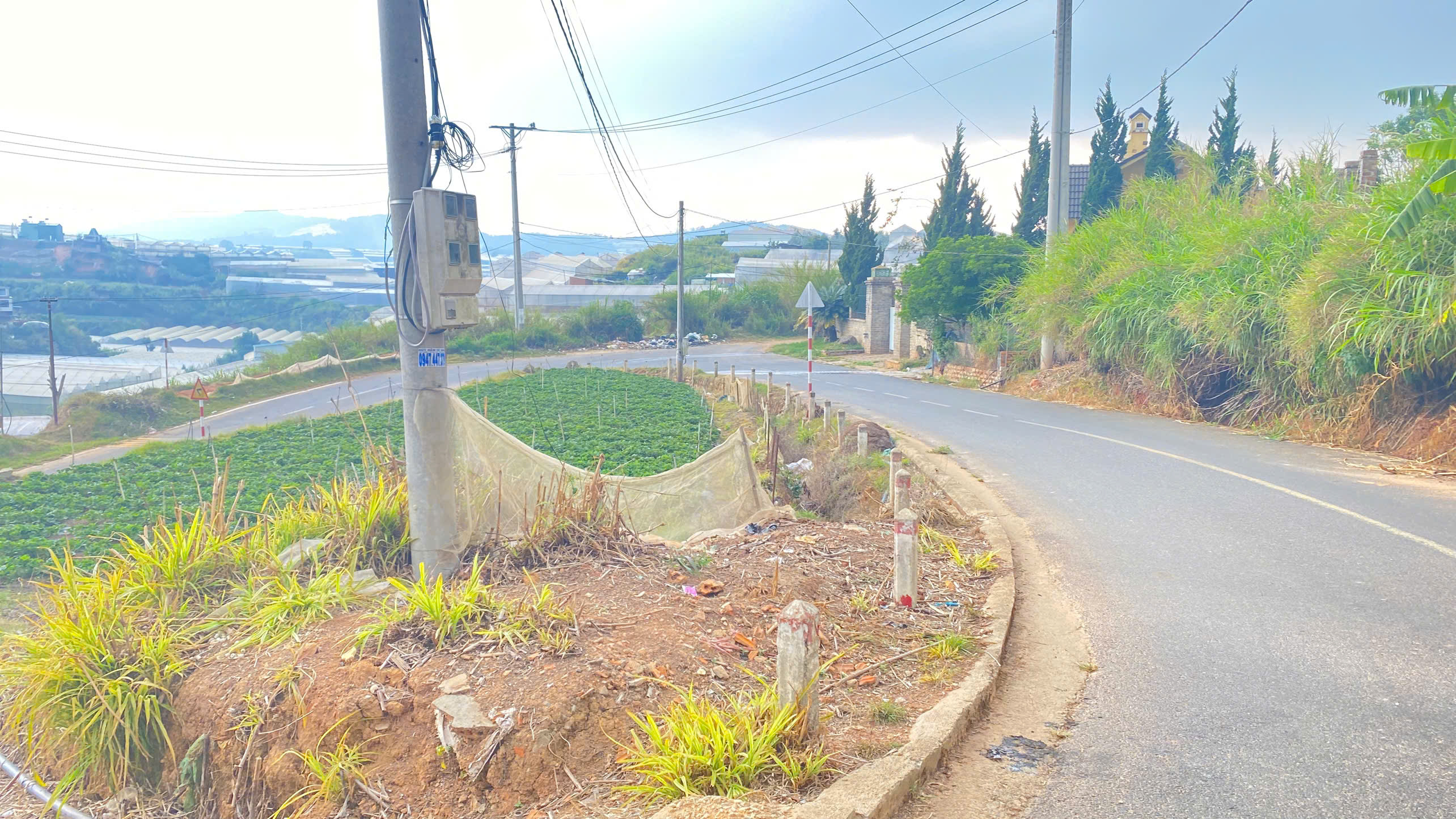 Bán 1 lô đất mặt tiền kim thạch, p7, đà lạt 3