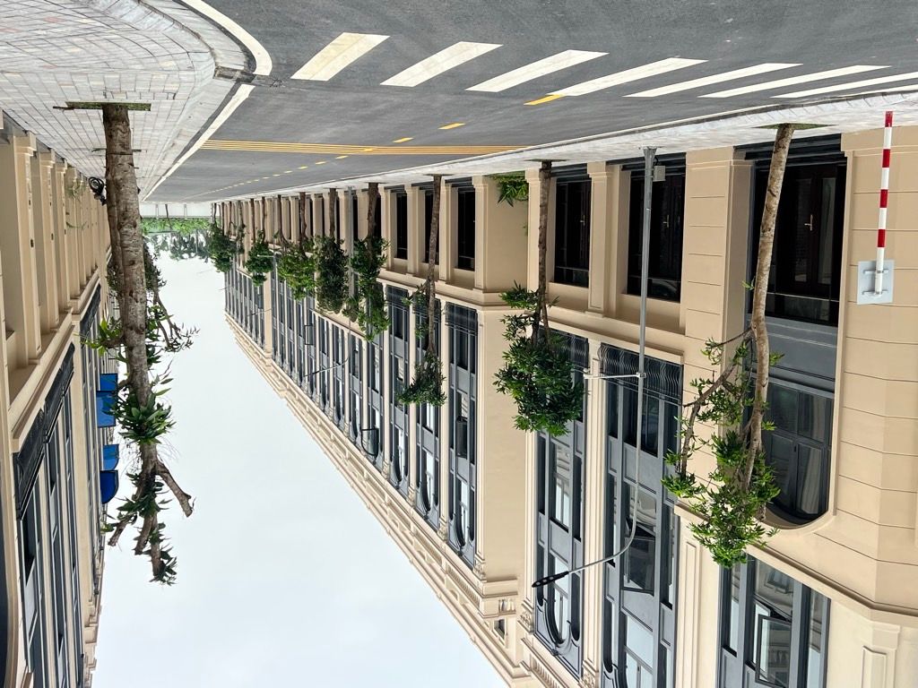 Bán Biệt thự liền kề Vinhomes Cổ Loa 65m 5 tầng mặt tiền rộng nhỉnh 20 tỷ(TL) 2