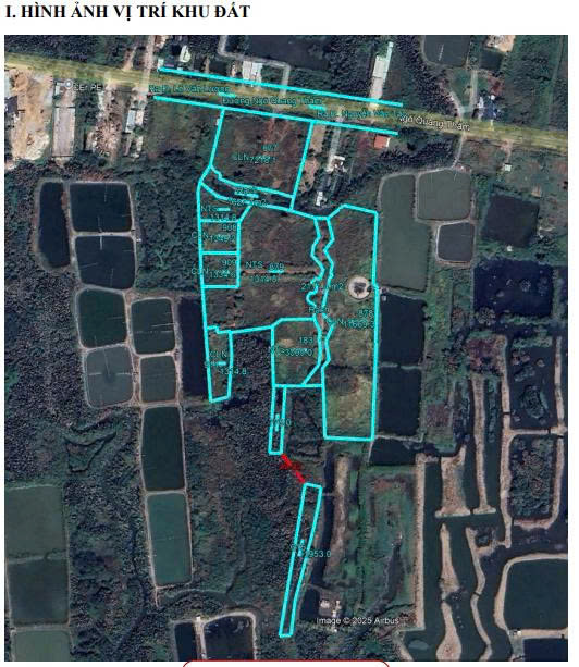 Cần bán Đất đường Ngô Quang Thắm, Xã Long Thới, Diện tích cần 41000m², Giá Thương lượng 3