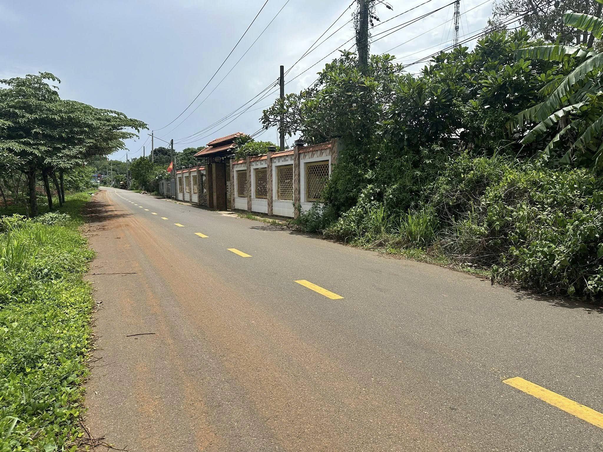 CẦN BÁN 1000m² ĐẤT MẶT TIỀN ĐƯỜNG NHỰA – LONG PHƯỚC, TP. BÀ RỊA (P. TAM LONG, TP. HCM) 4