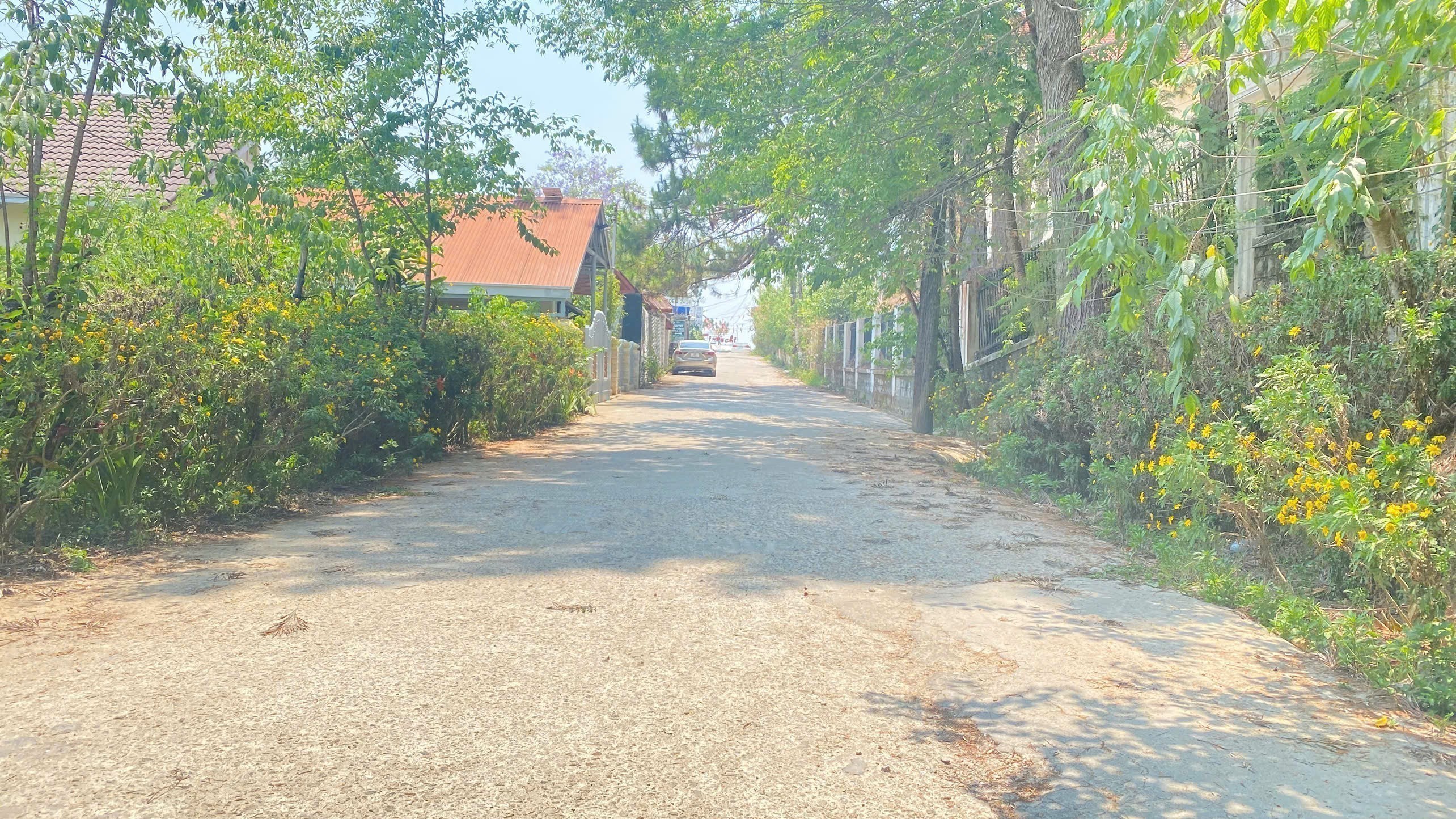 Đất đường nhánh 1.832m2  hẻm lớn trần quang diệu, phường 10, đà lạt