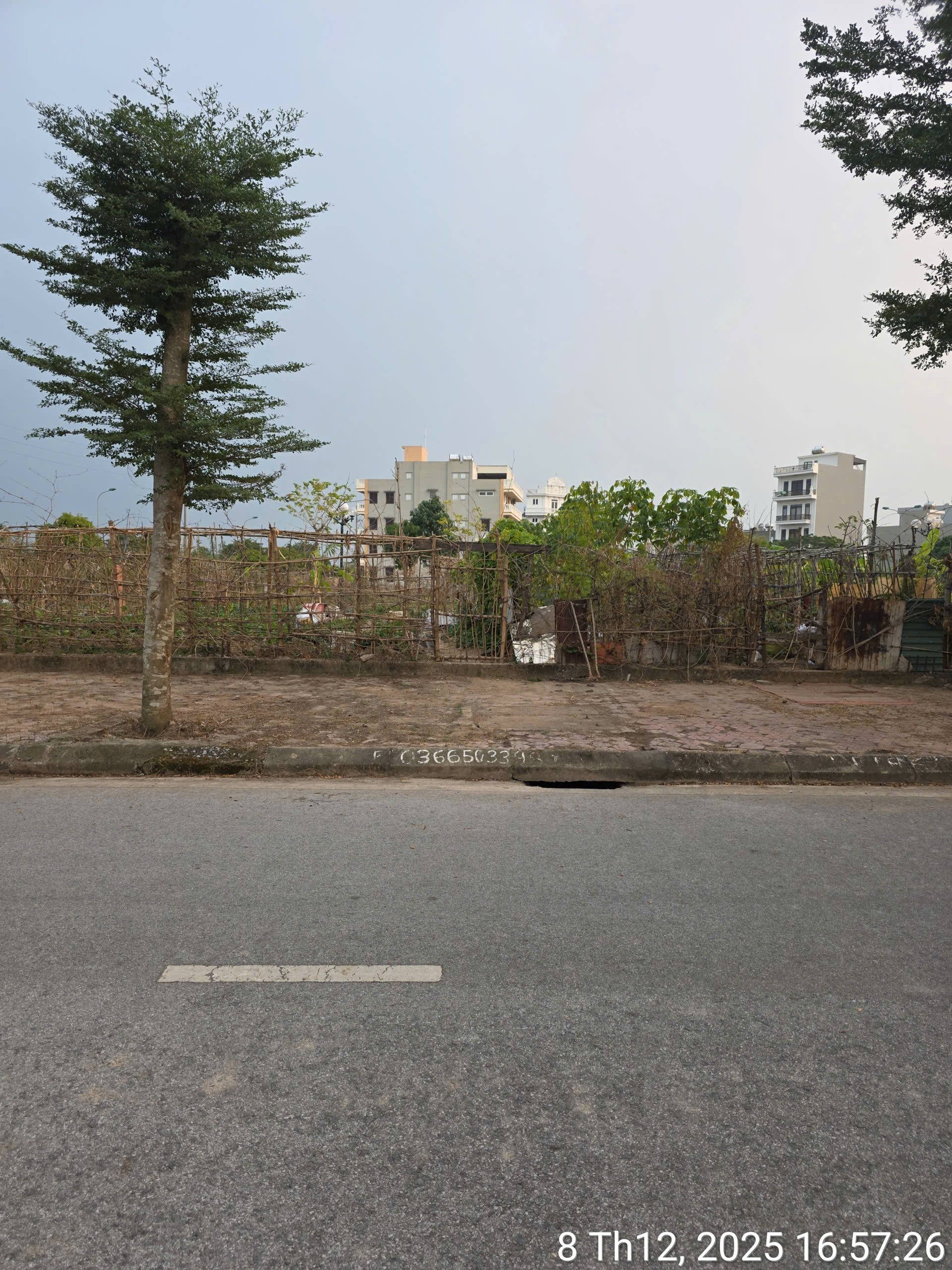 Cần bán Đất Phường Nhị Châu, Hải Dương, Diện tích 479m², Giá 250 Triệu/m² 3