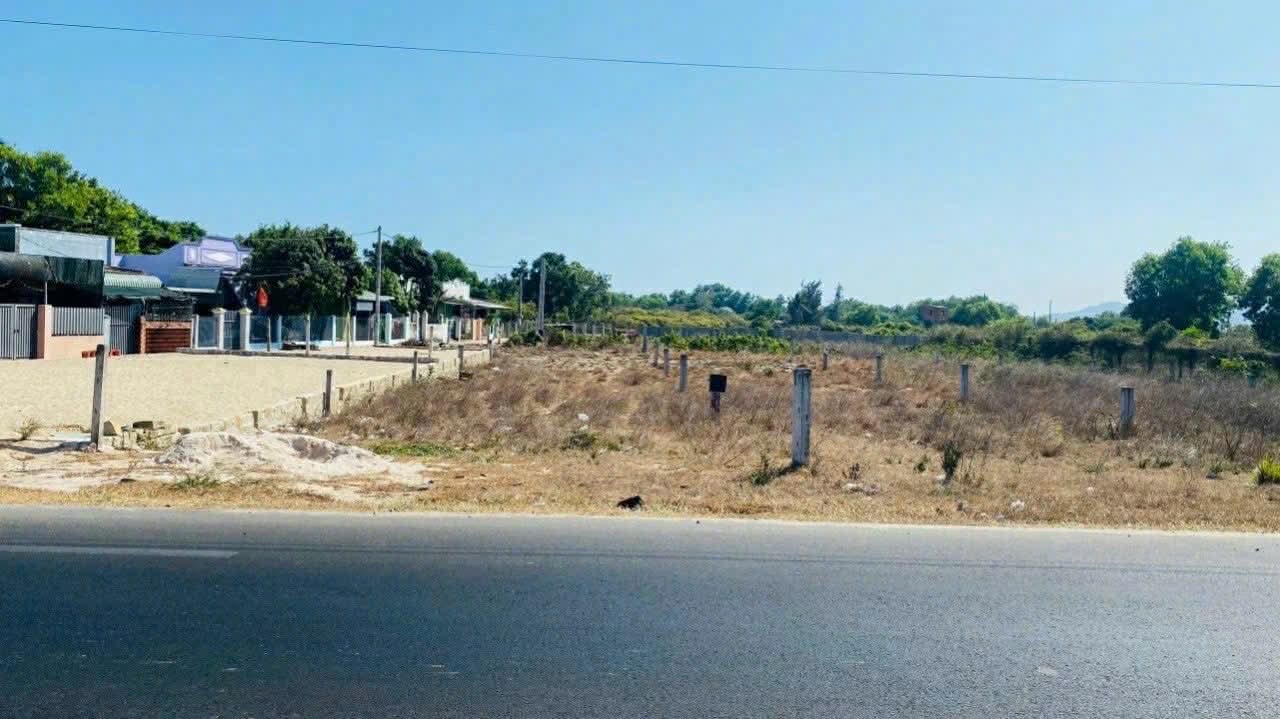 Cần bán Đất đường Võ Văn Kiệt, Xã Lộc An, Diện tích 148m², Giá 1.2 Tỷ 4