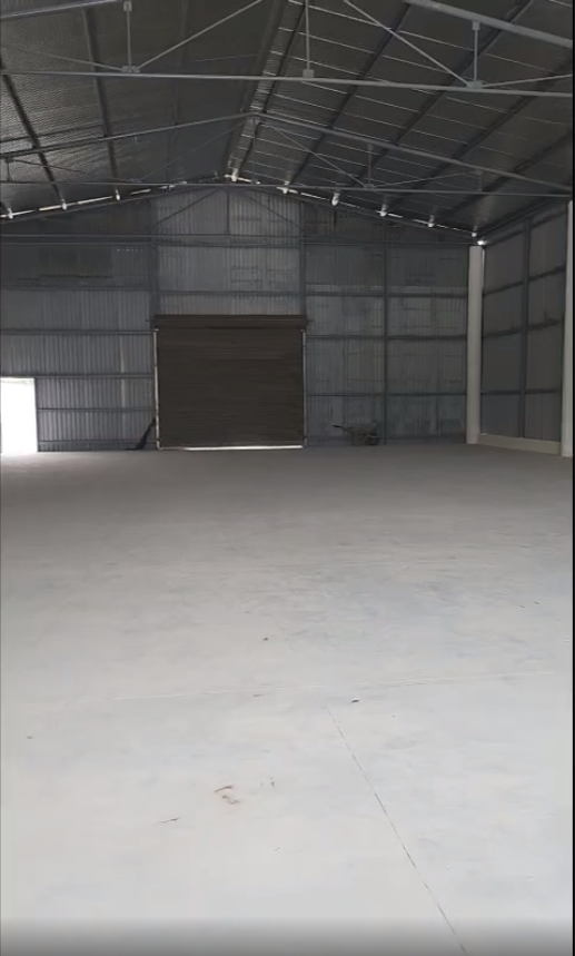 Bán kho mt ĐT 816 , xã Thạnh Lợi , Bến Lức dt 1300m2 ( dtxd 450m2 ) giá 7 tỷ 5