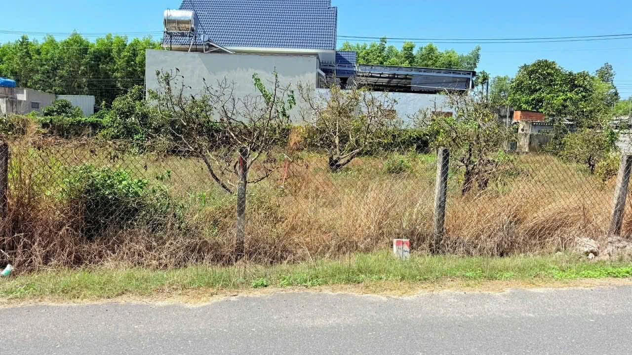 Cần bán Đất đường Tỉnh lộ 44, Xã Long Mỹ, Diện tích 211m², Giá 1.25 Tỷ 4