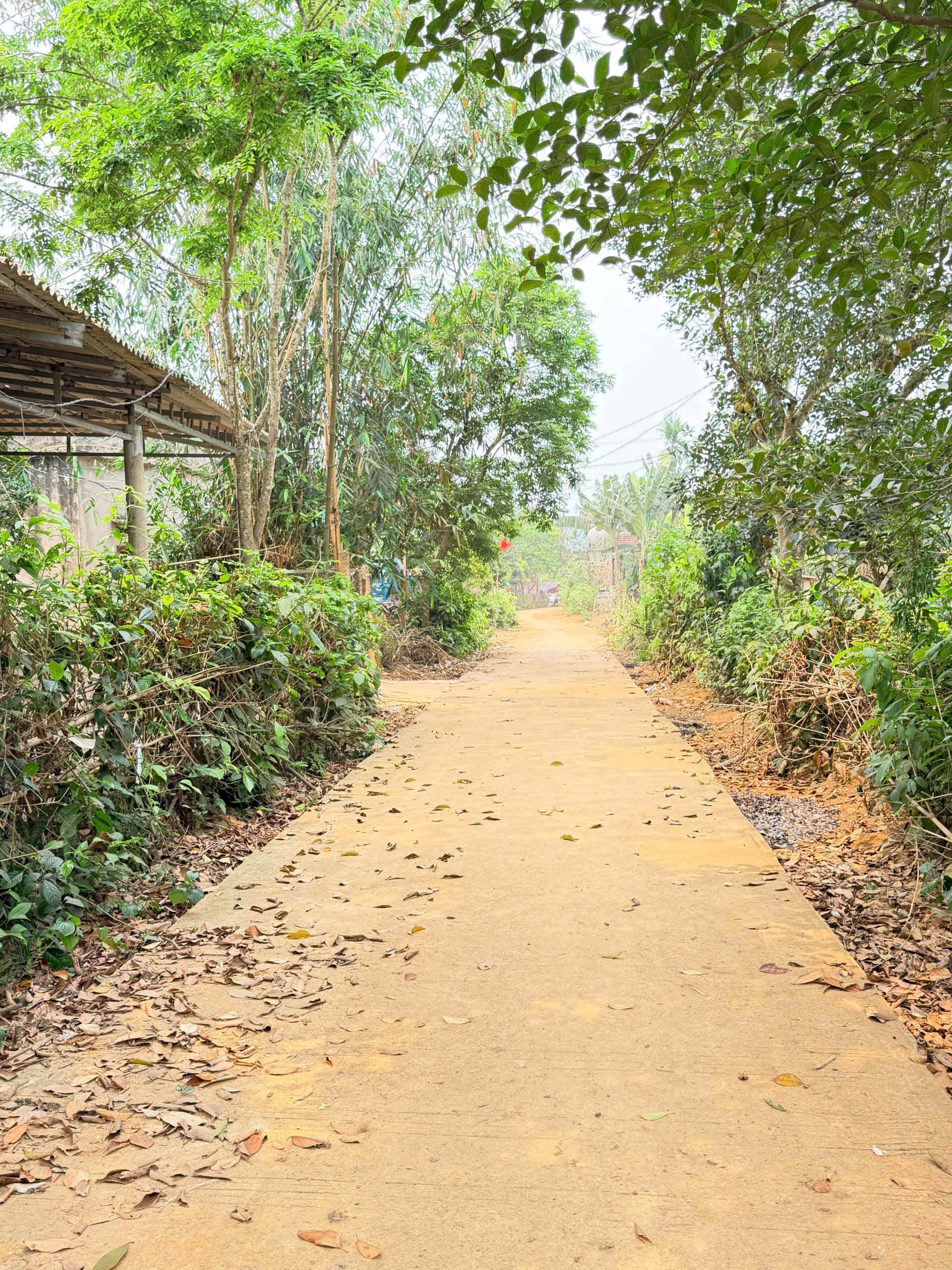 BÁN NHANH LÔ ĐẤT TIỀM NĂNG CAO – GIÁ CHỈ 400 TRIỆUĐịa chỉ: Xóm Trang, xã Vũ Bình, huyện 3