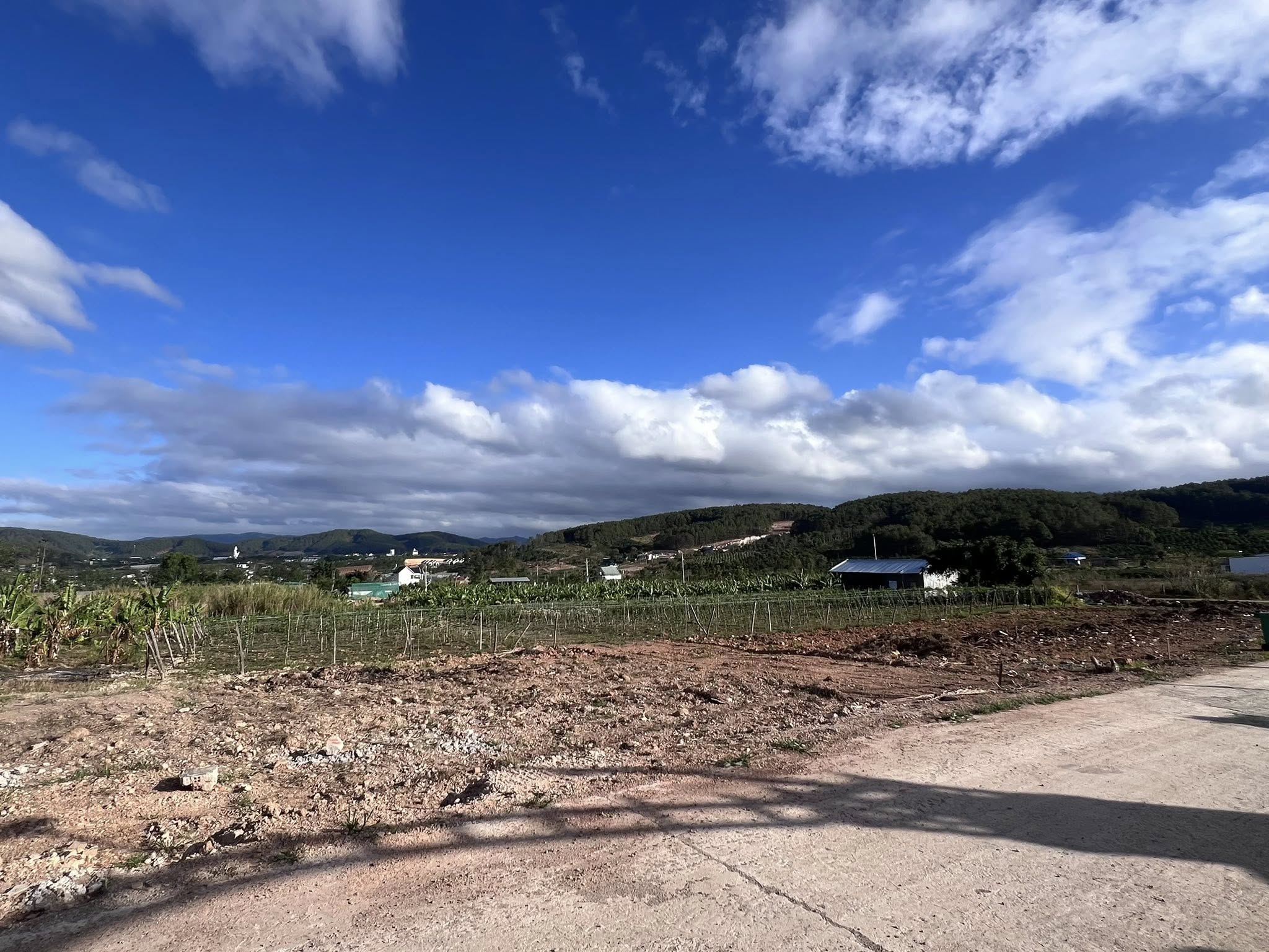 Cần bán Đất đường Tỉnh lộ 725, Xã Gia Lâm, Diện tích 239m², Giá Thương lượng 2