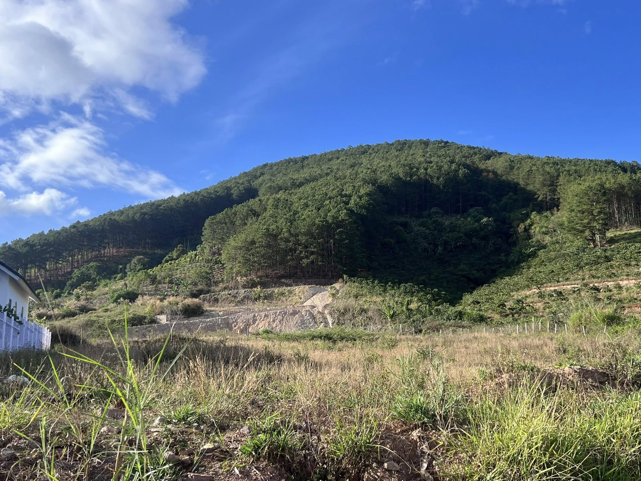 Cần bán Đất đường Tỉnh lộ 725, Xã Gia Lâm, Diện tích 239m², Giá Thương lượng 3